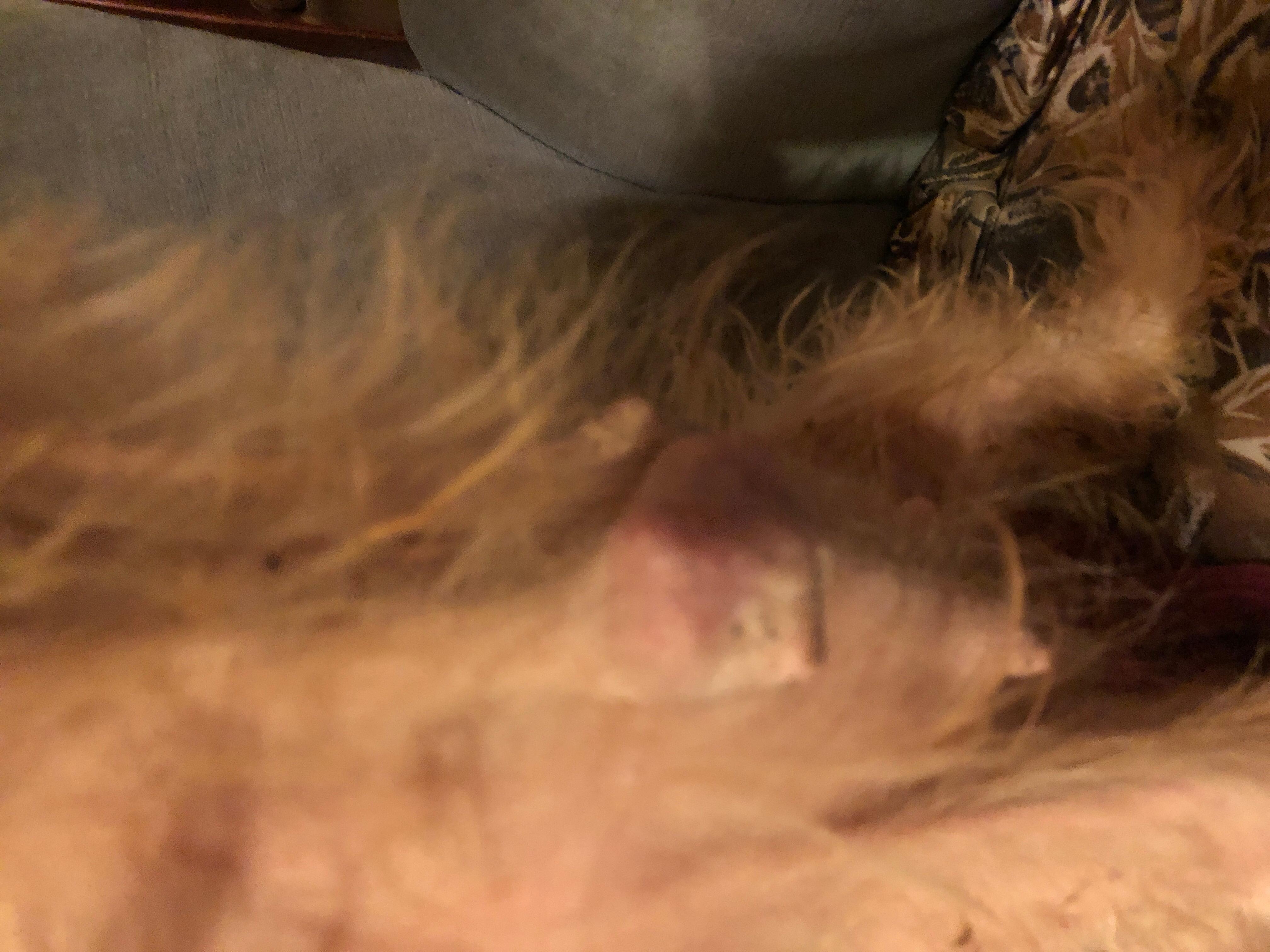 Question details sensitive content