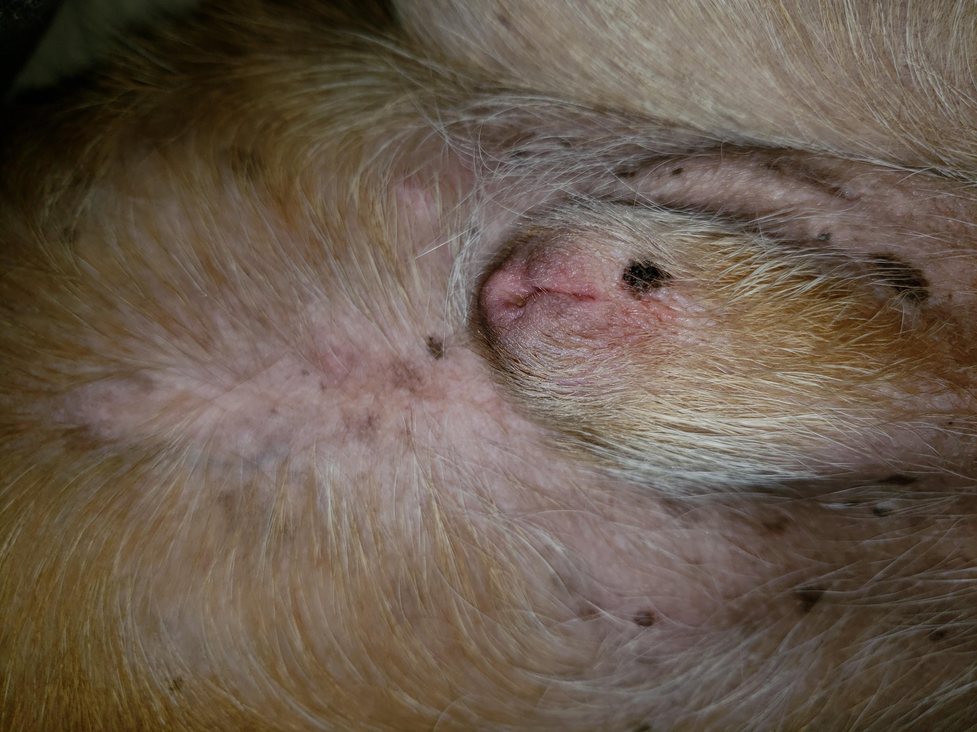 Question details sensitive content