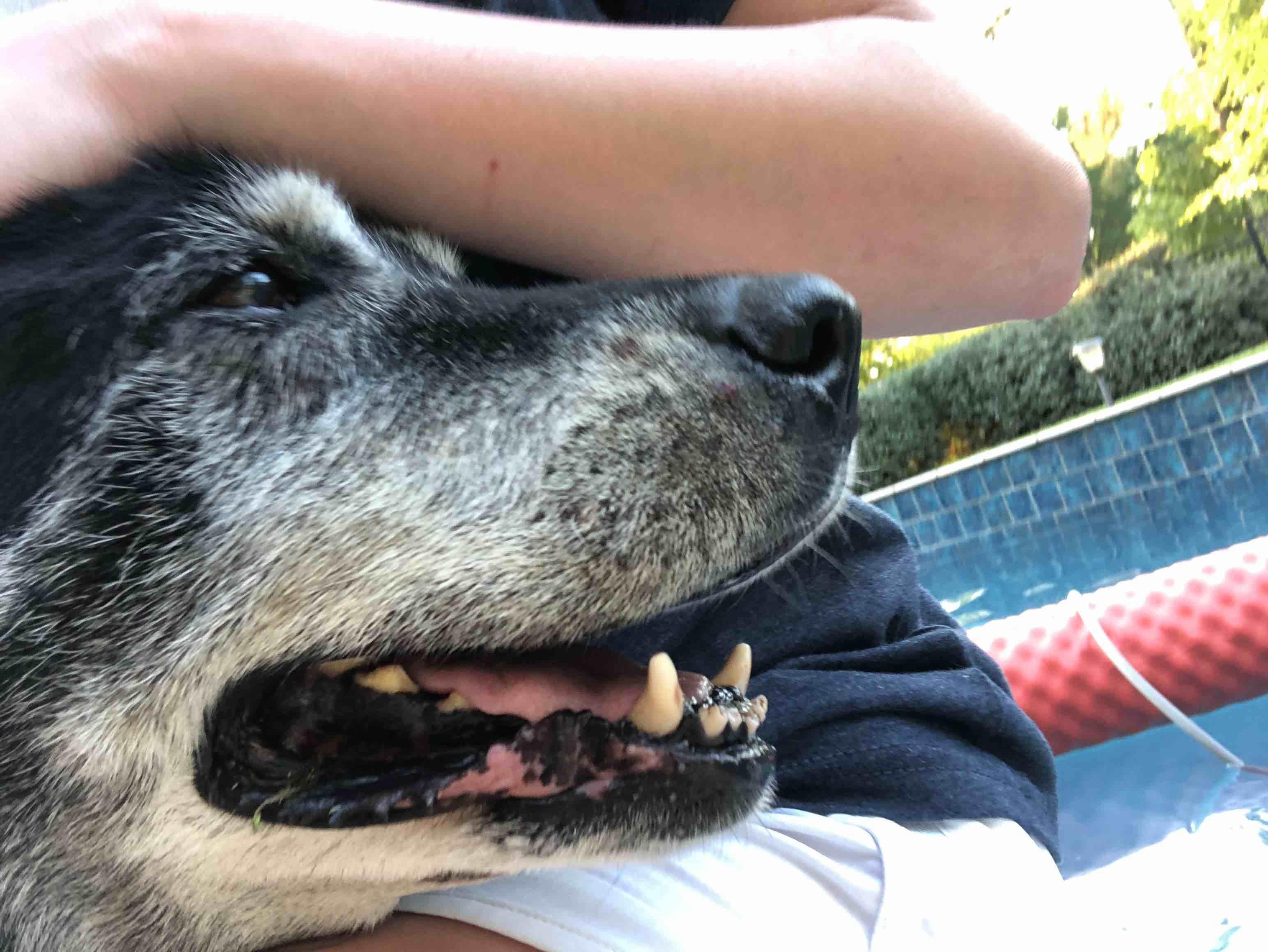 Question details sensitive content