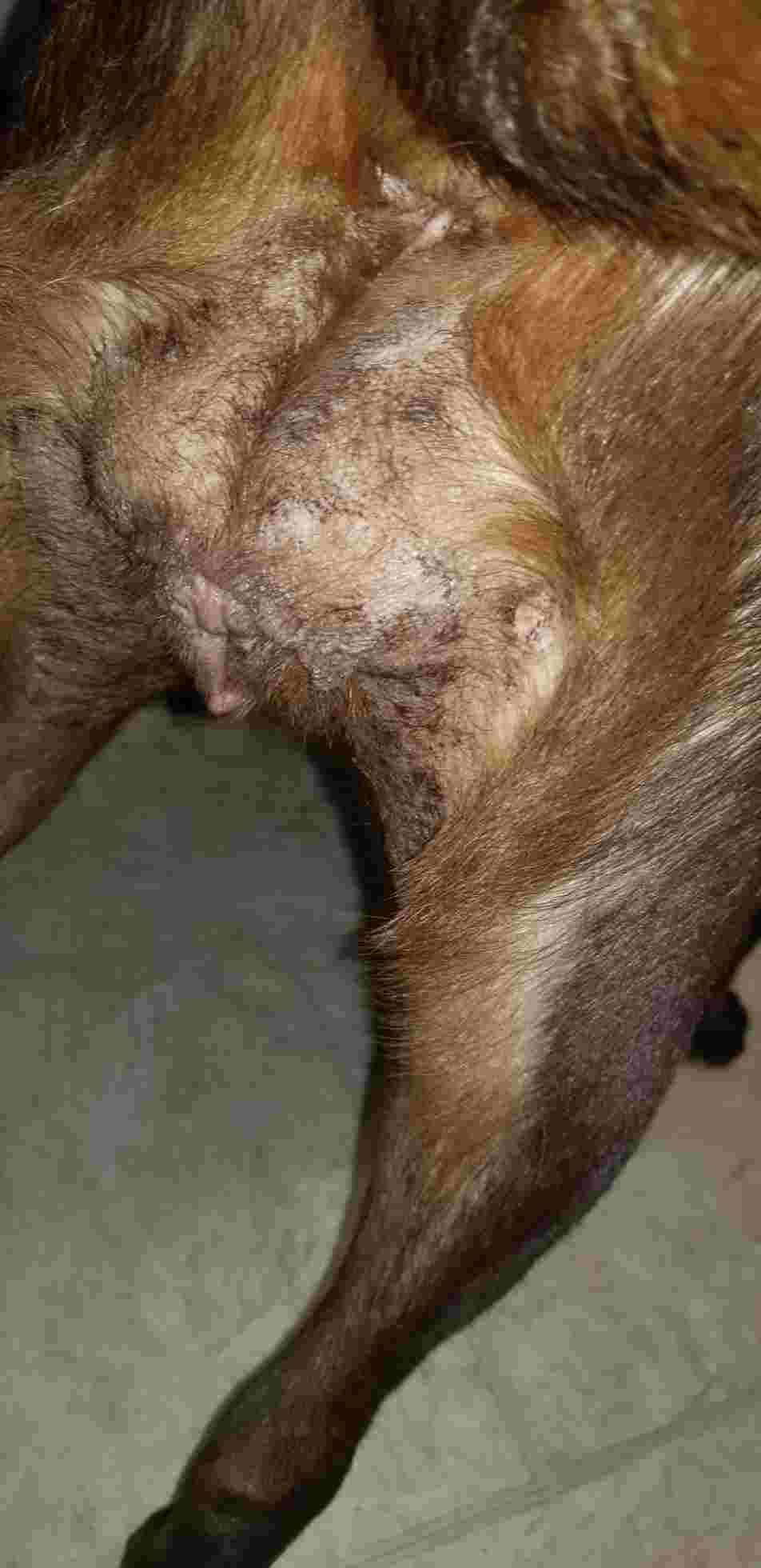 Question details sensitive content