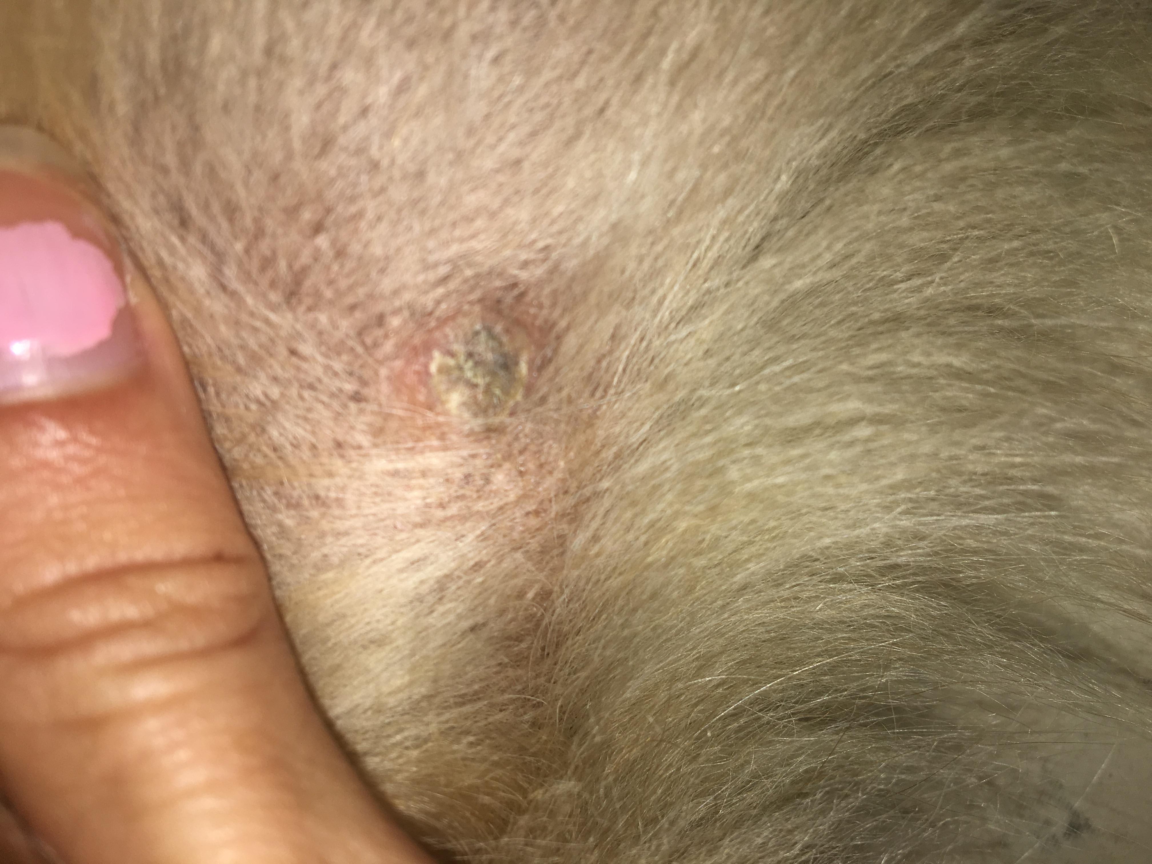 Question details sensitive content