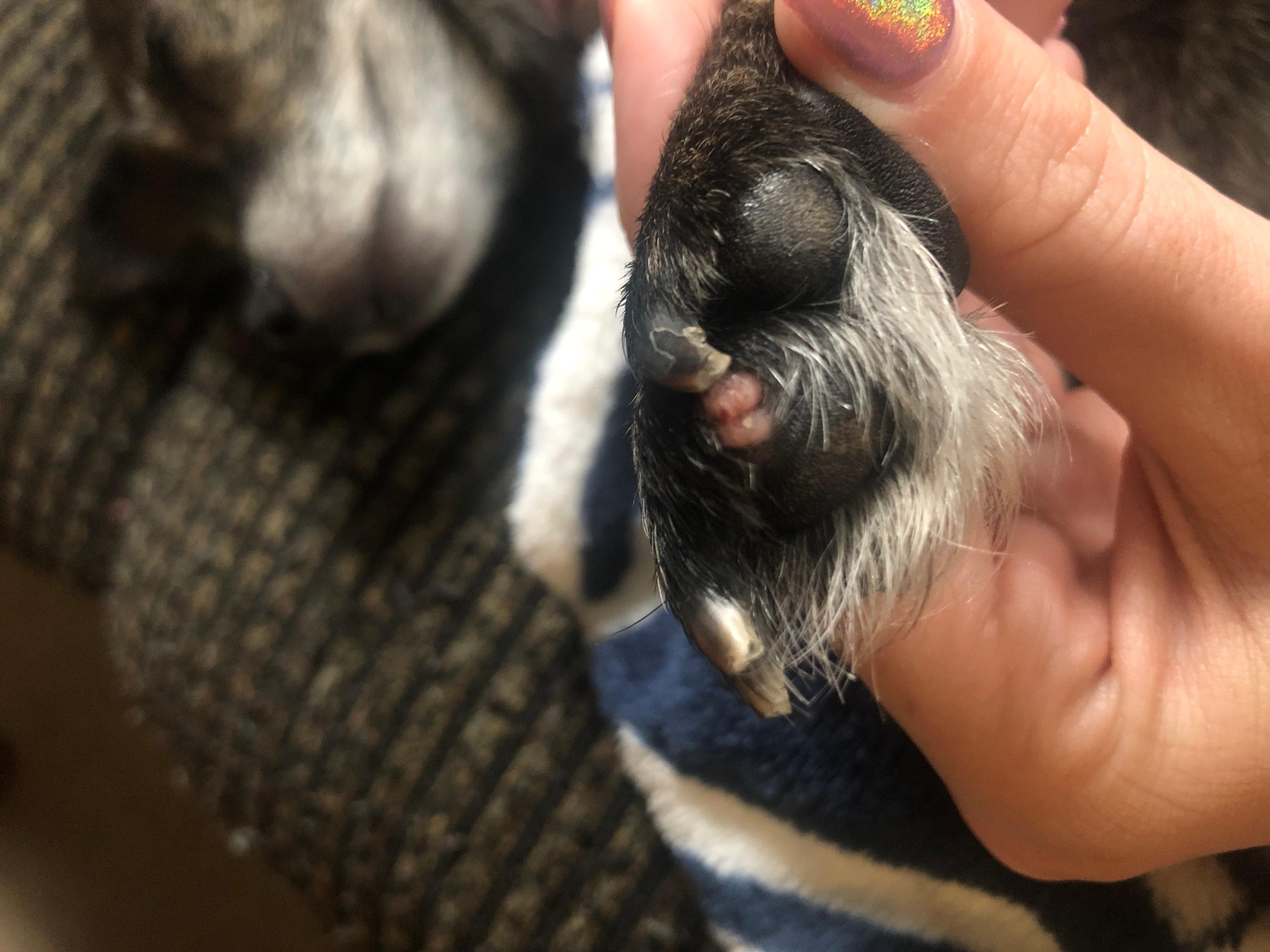 Question details sensitive content