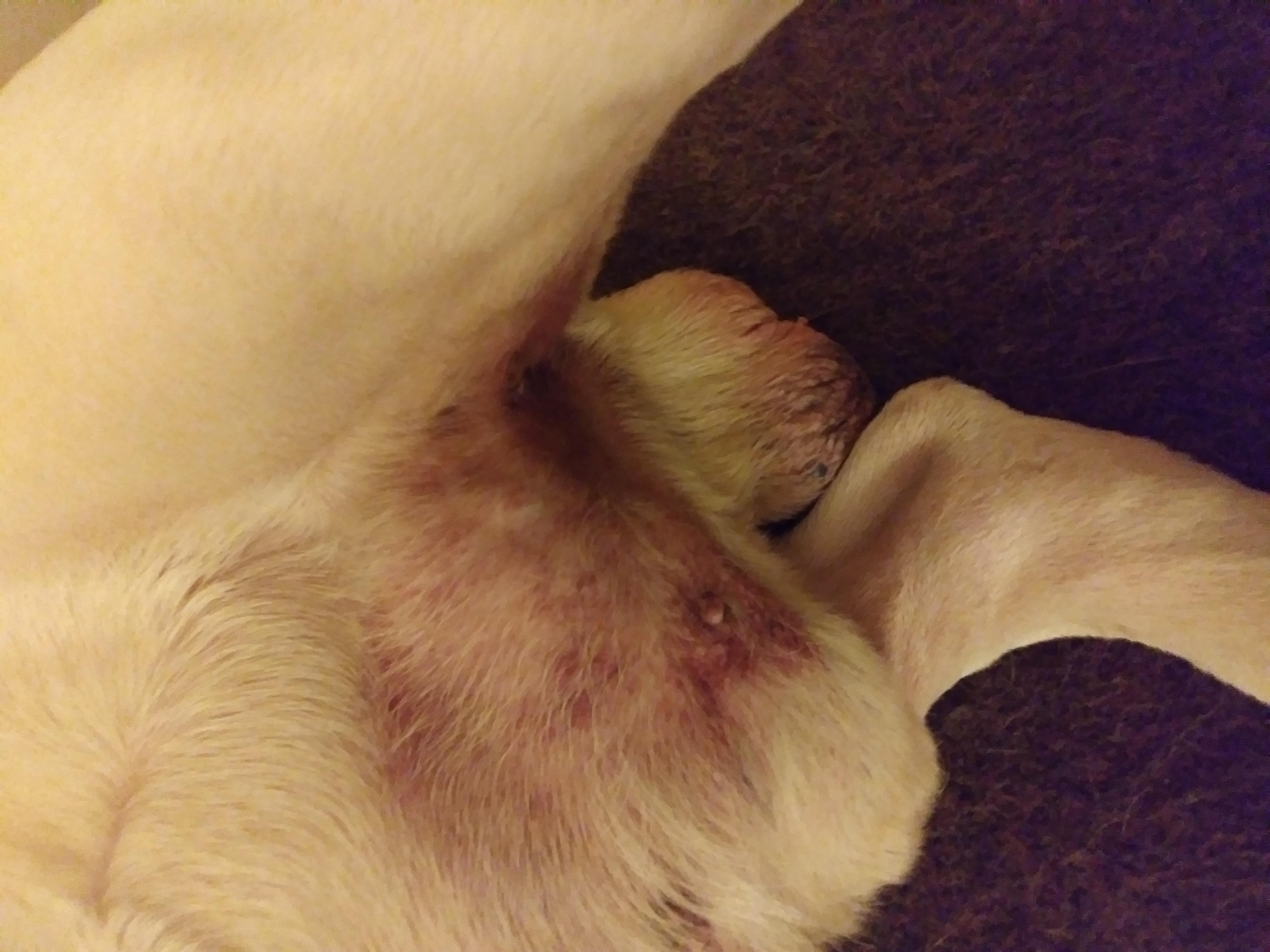 Question details sensitive content