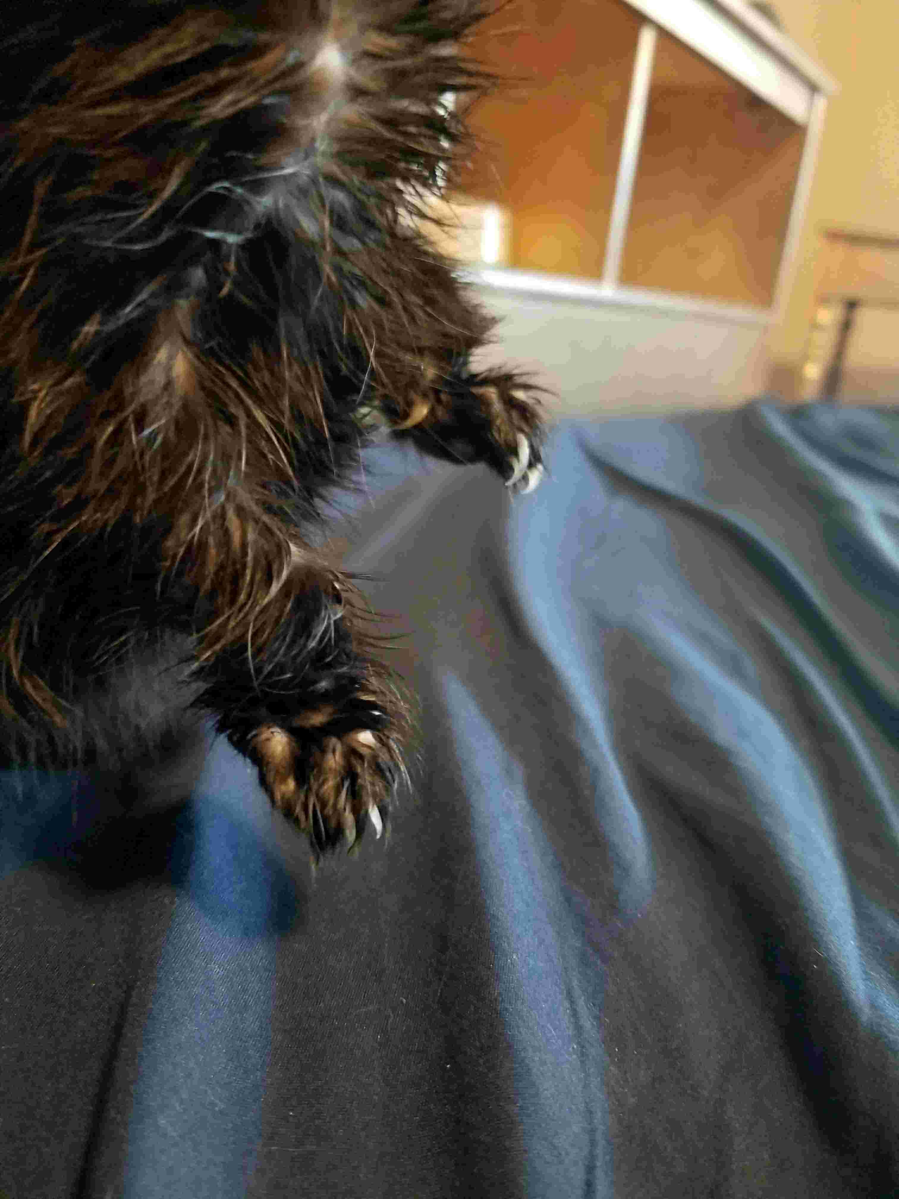 Question details sensitive content