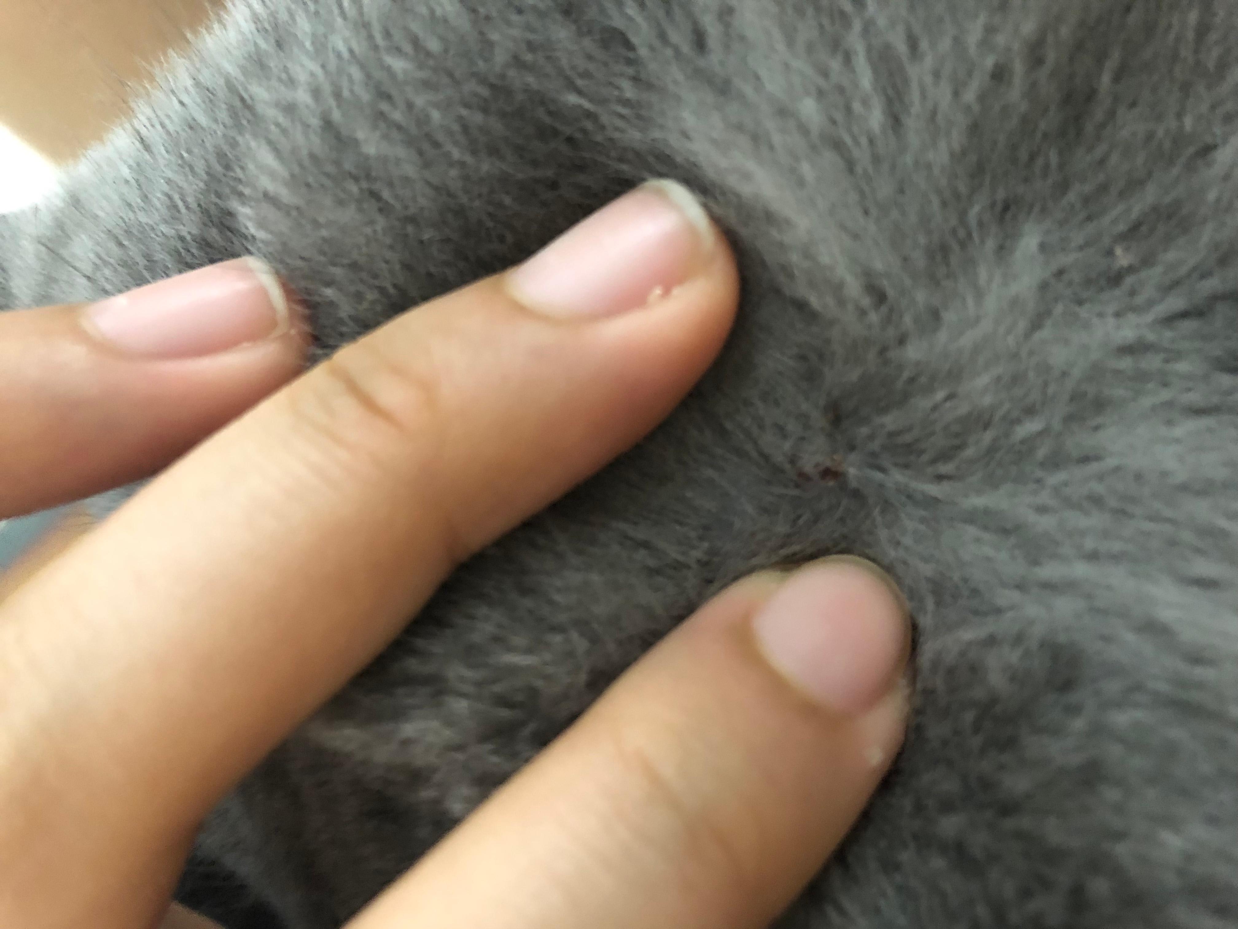 Question details sensitive content