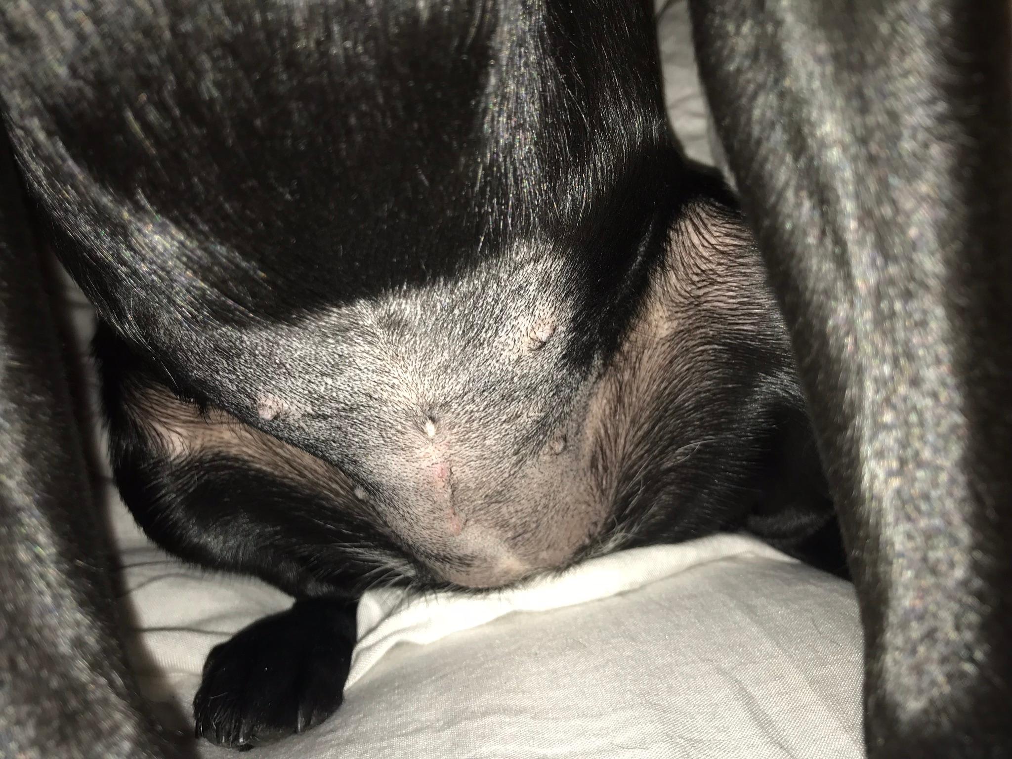 Question details sensitive content