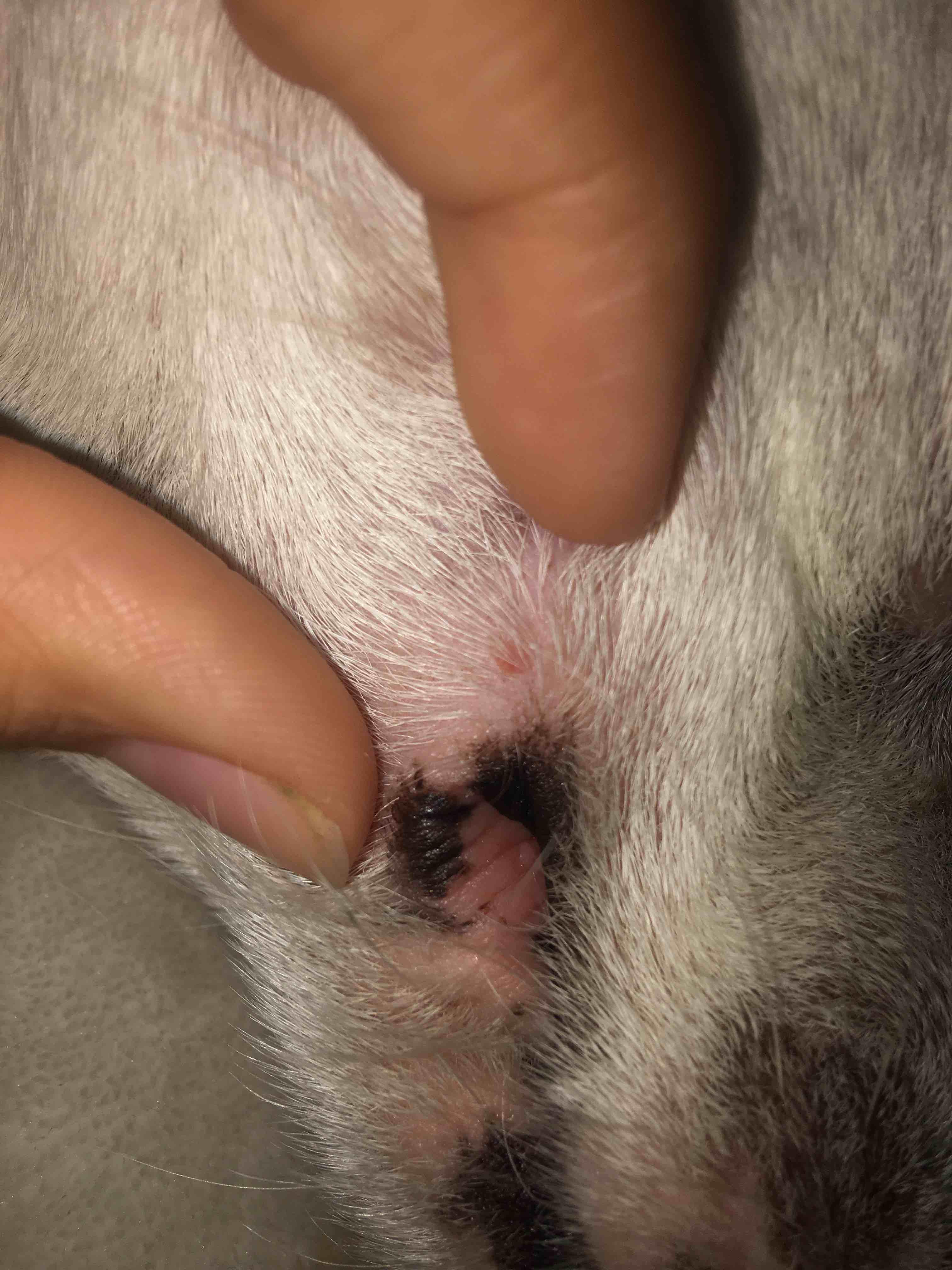 Question details sensitive content