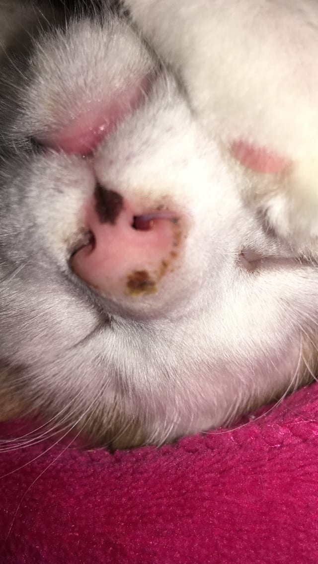 Question details sensitive content