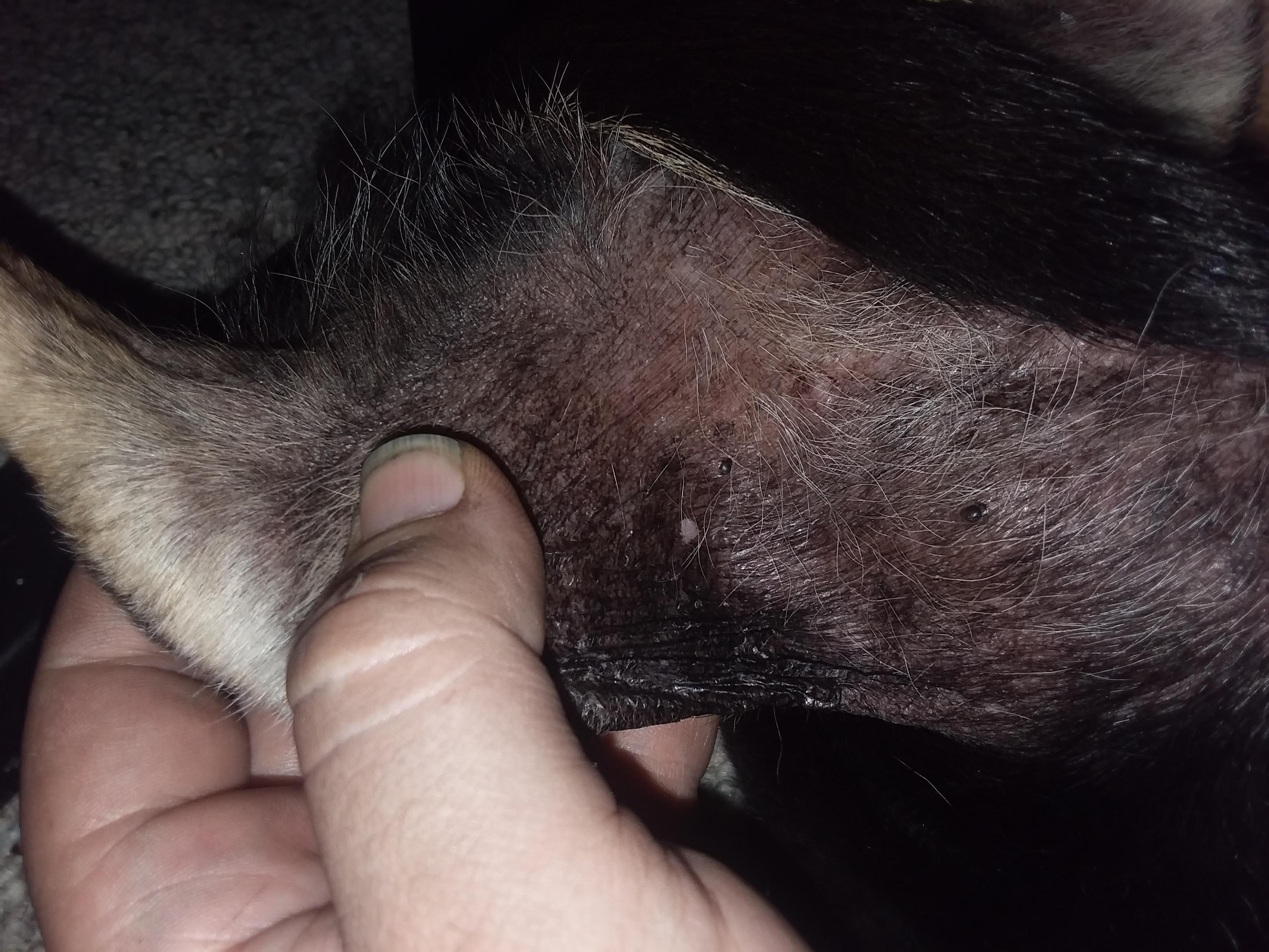 Question details sensitive content