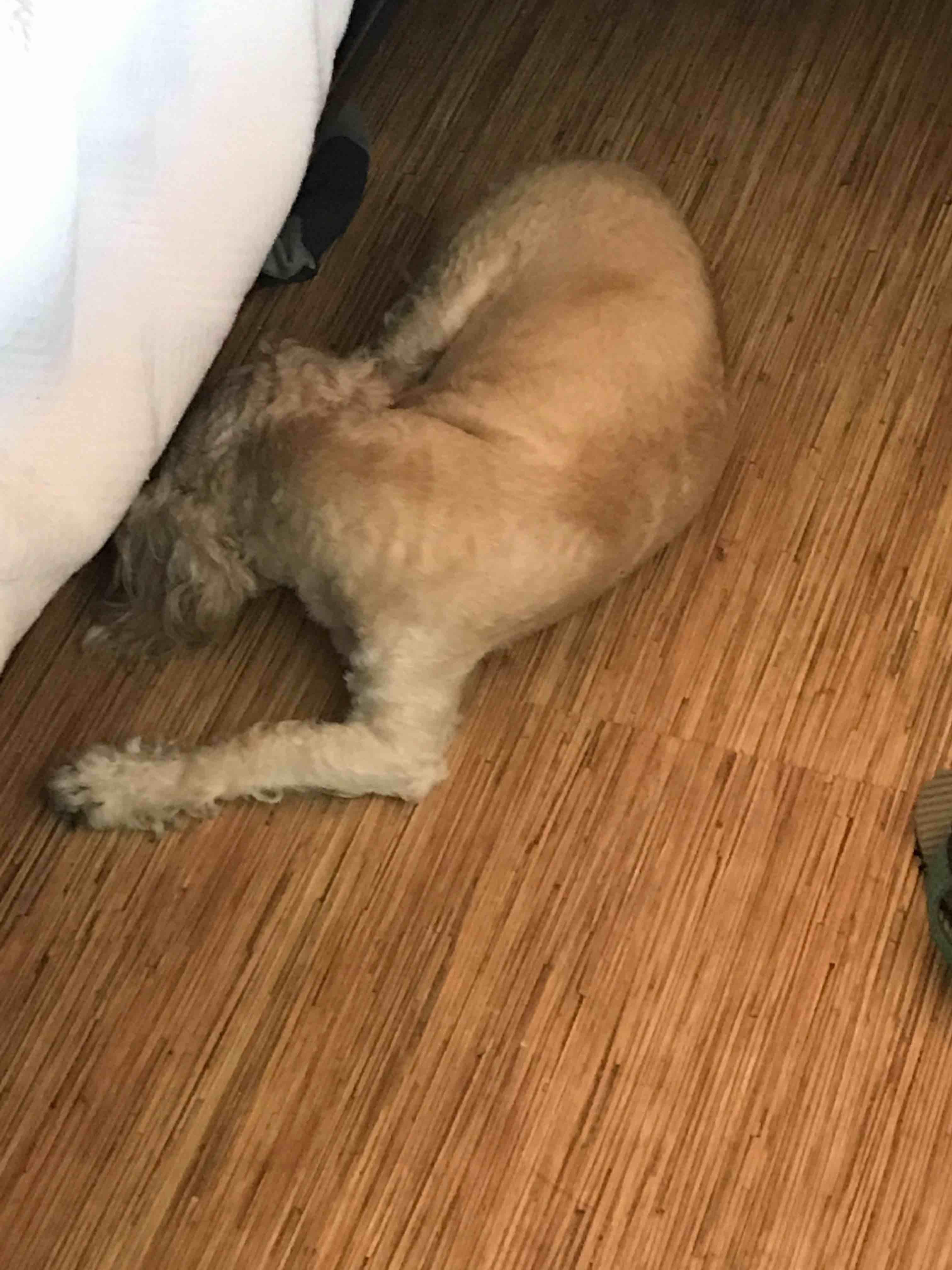 Question details sensitive content