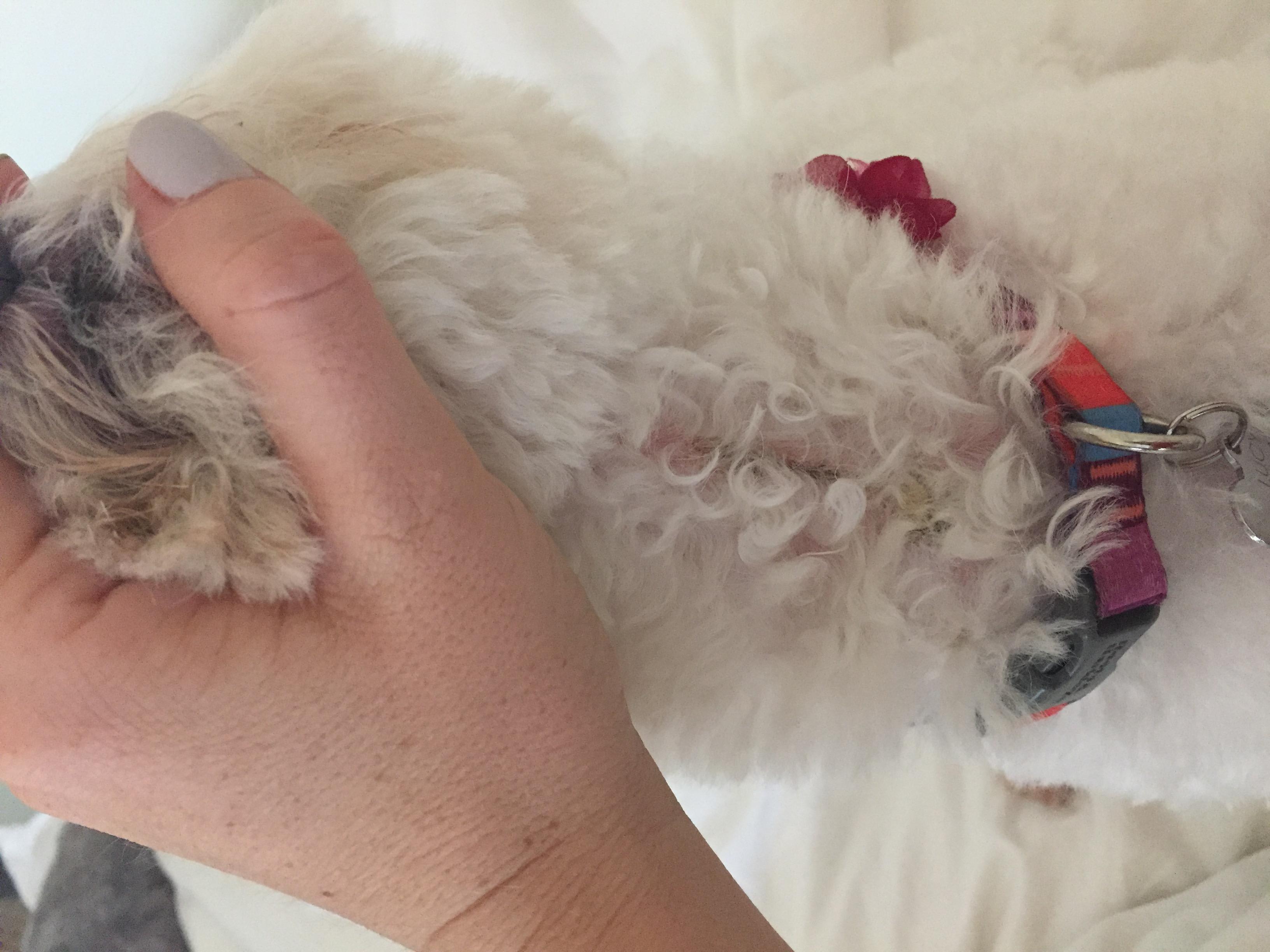 Question details sensitive content