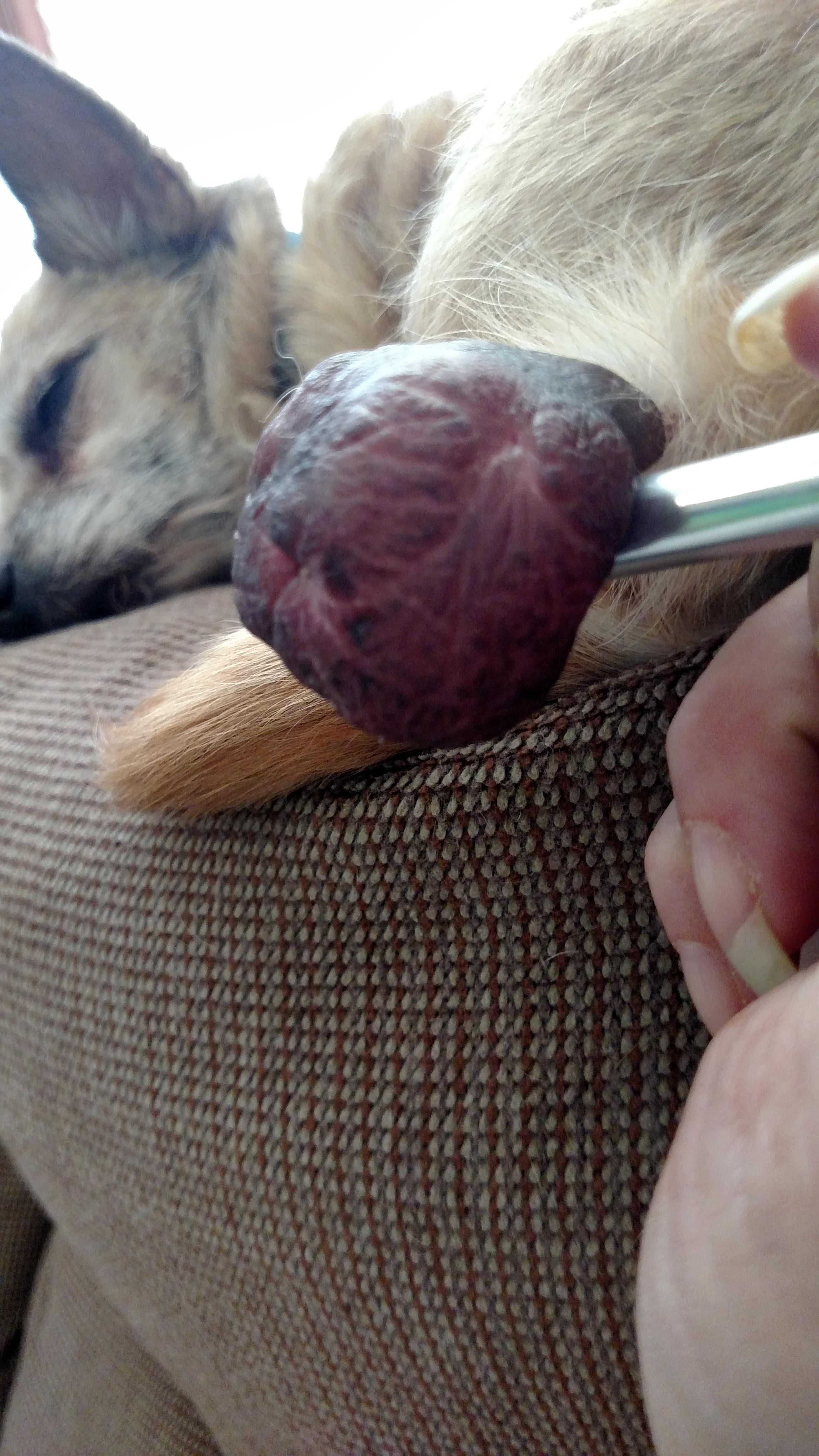 Question details sensitive content