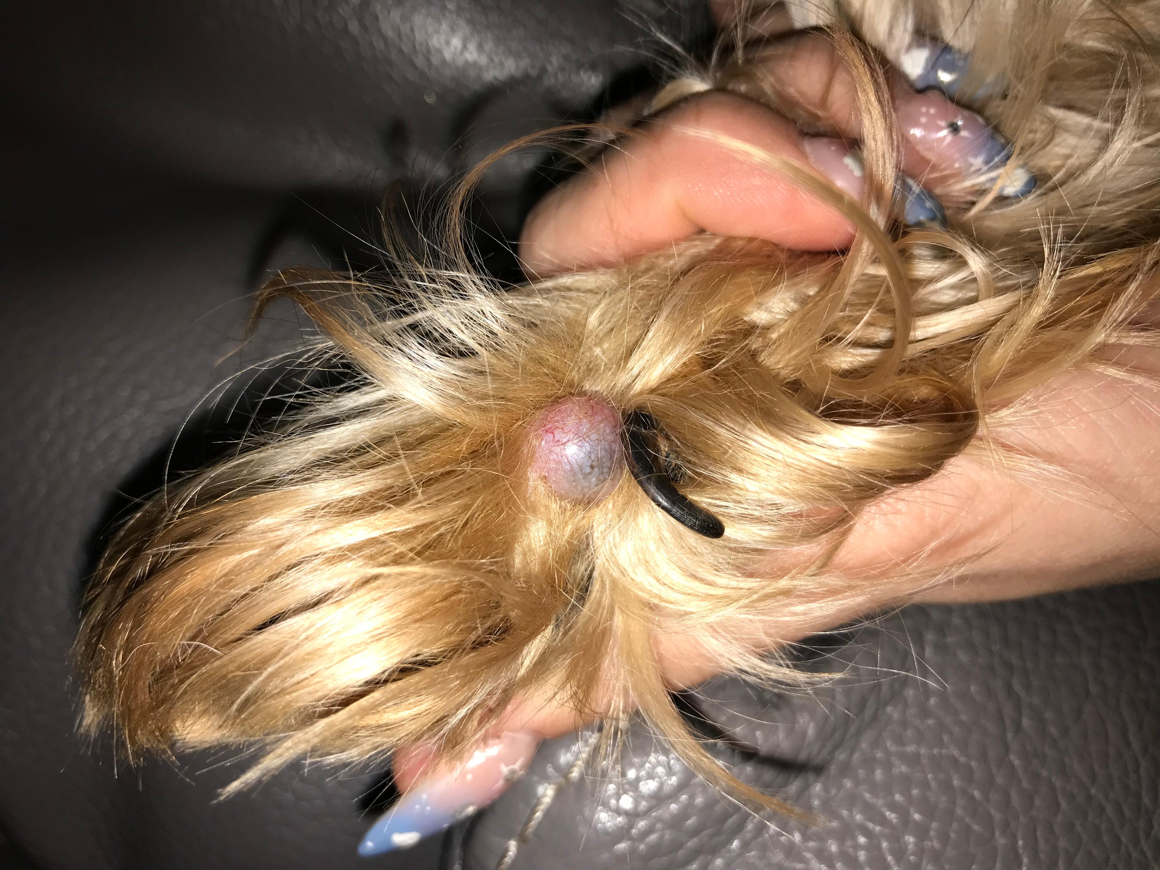 Question details sensitive content