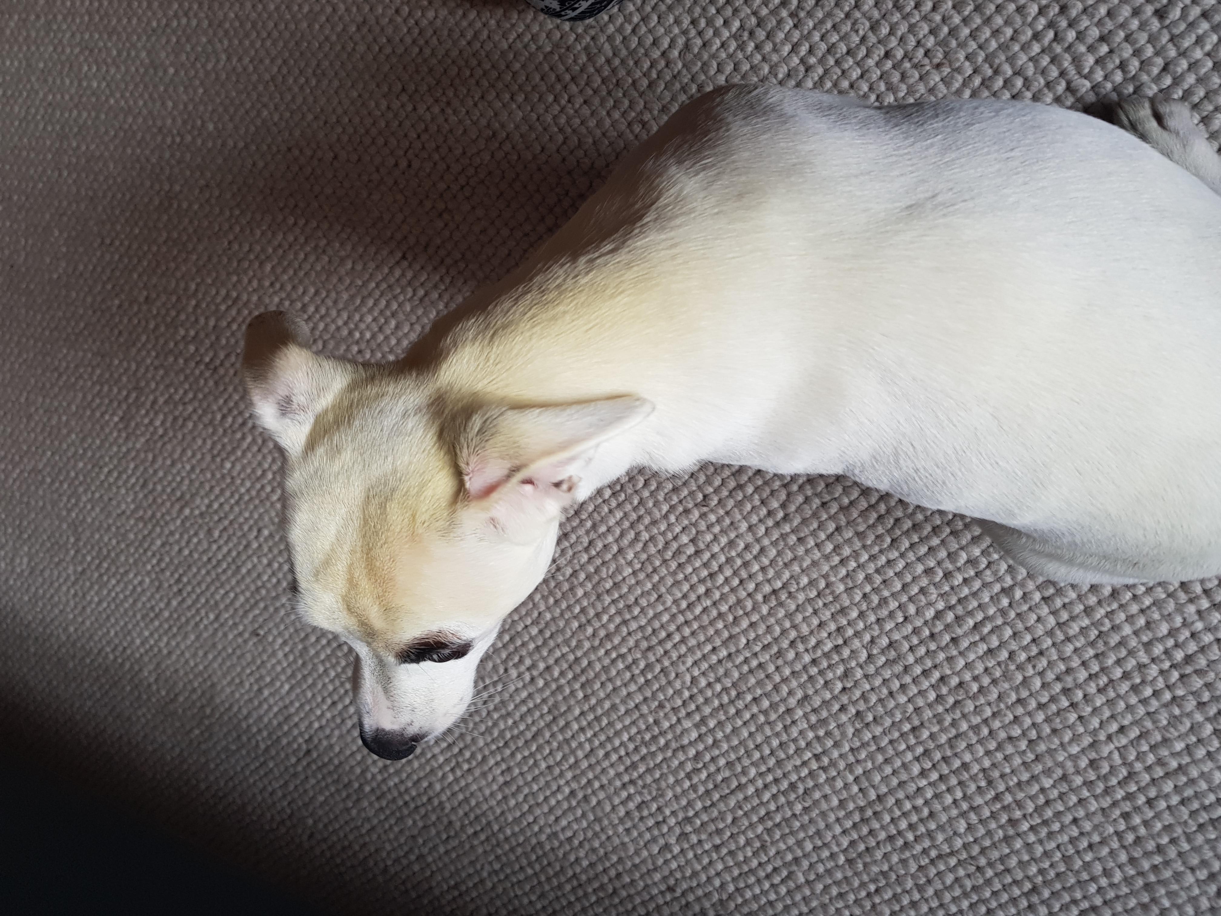 Question details sensitive content