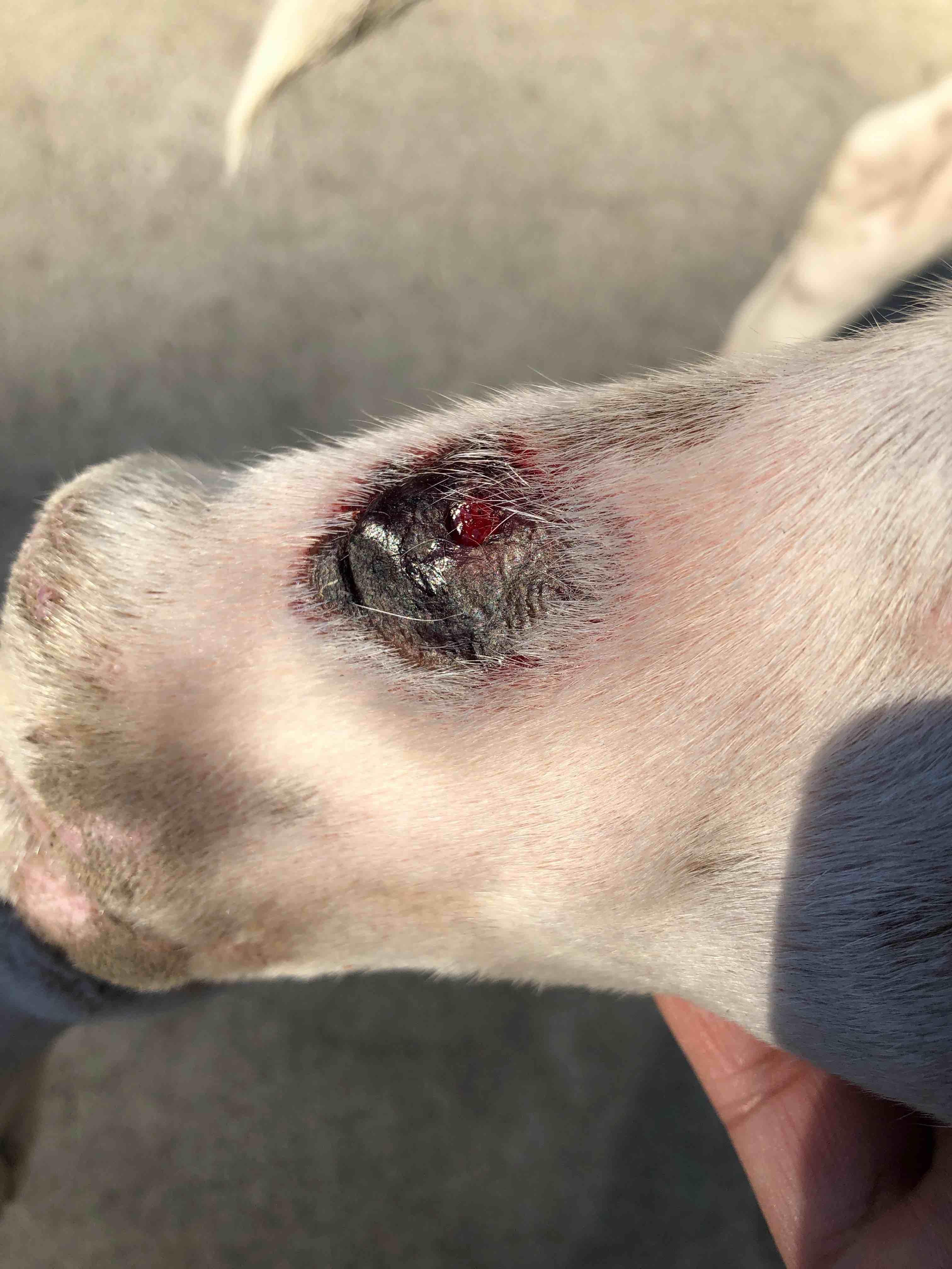 Question details sensitive content