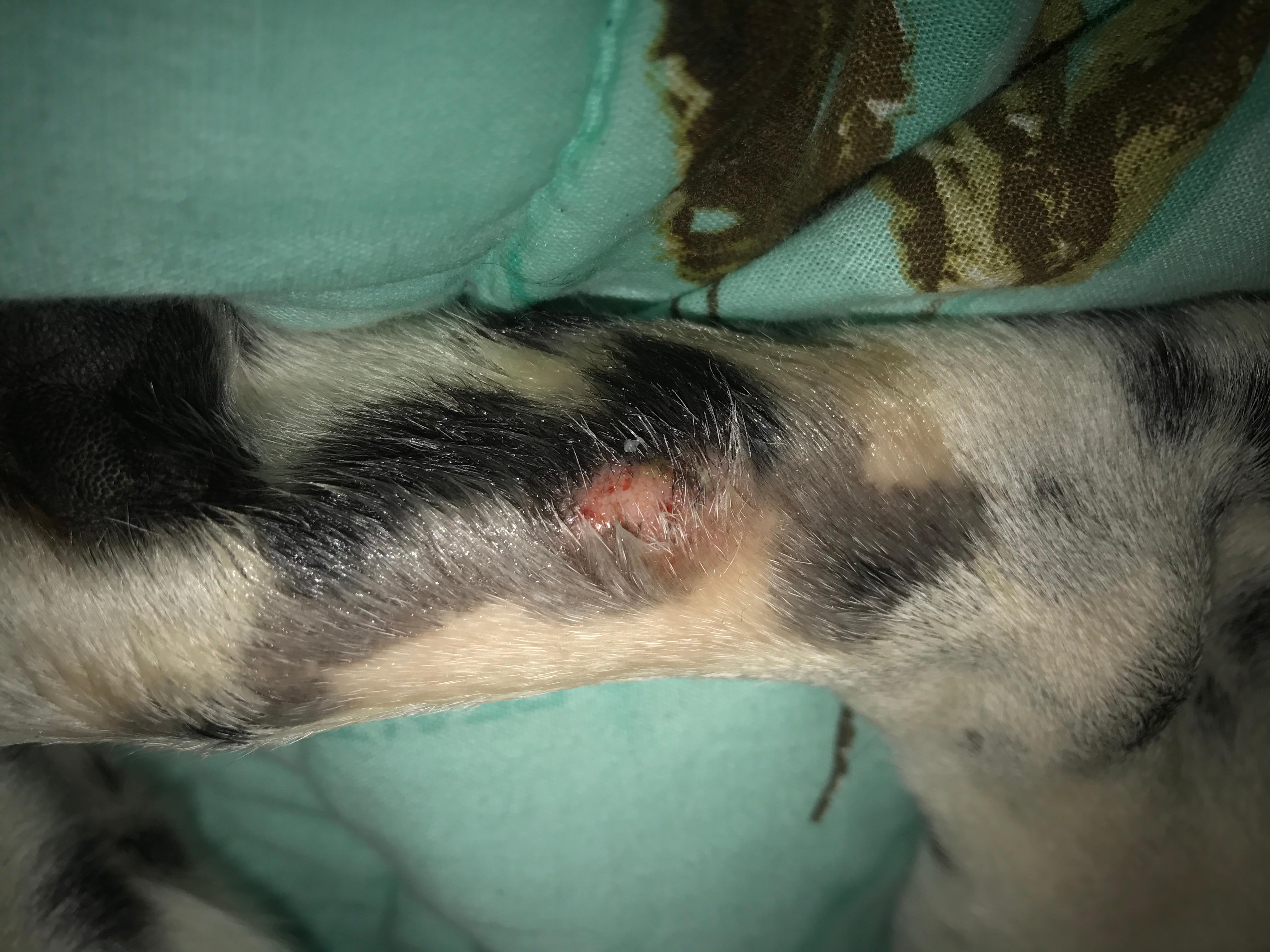 Question details sensitive content