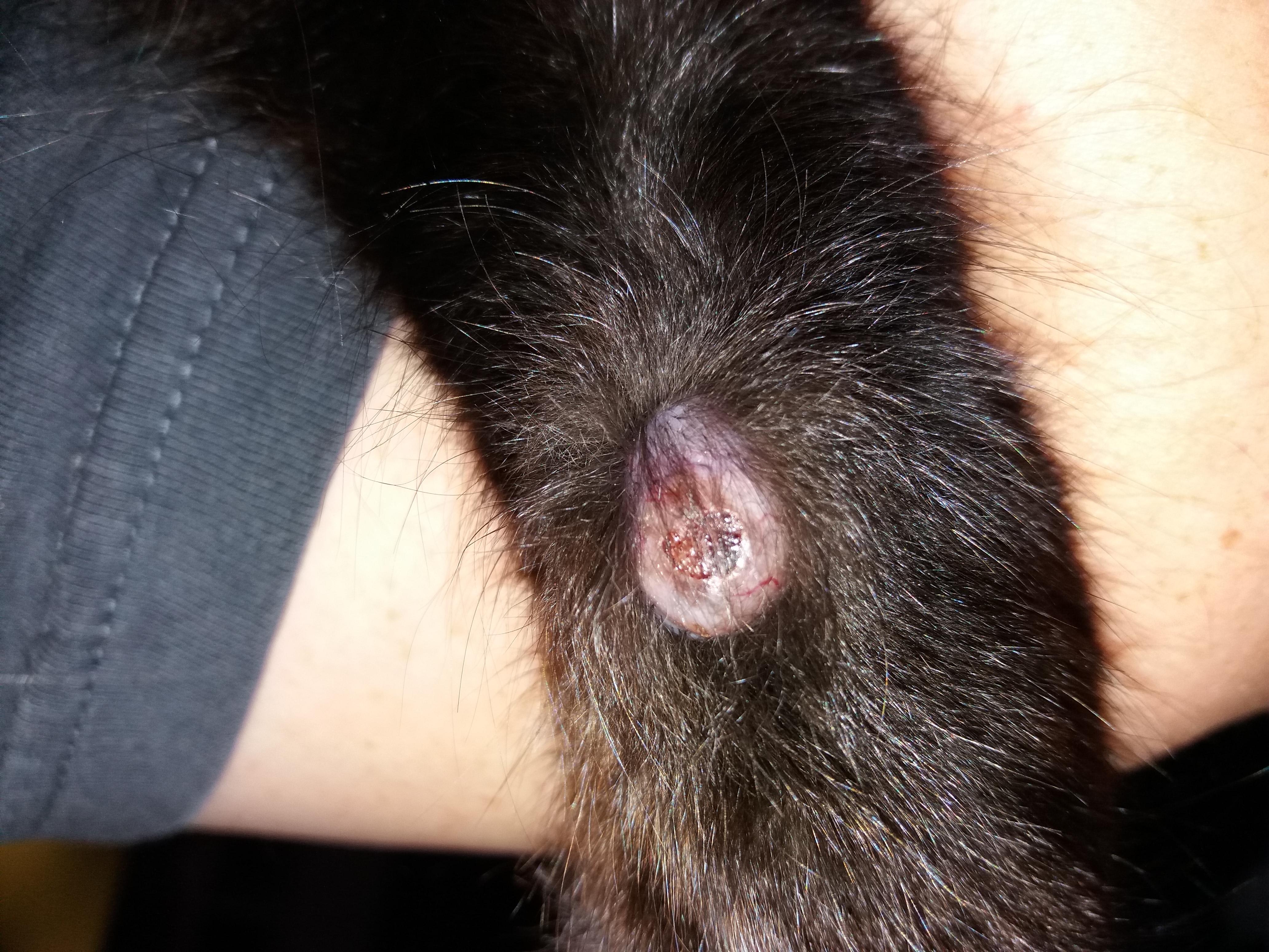 Question details sensitive content