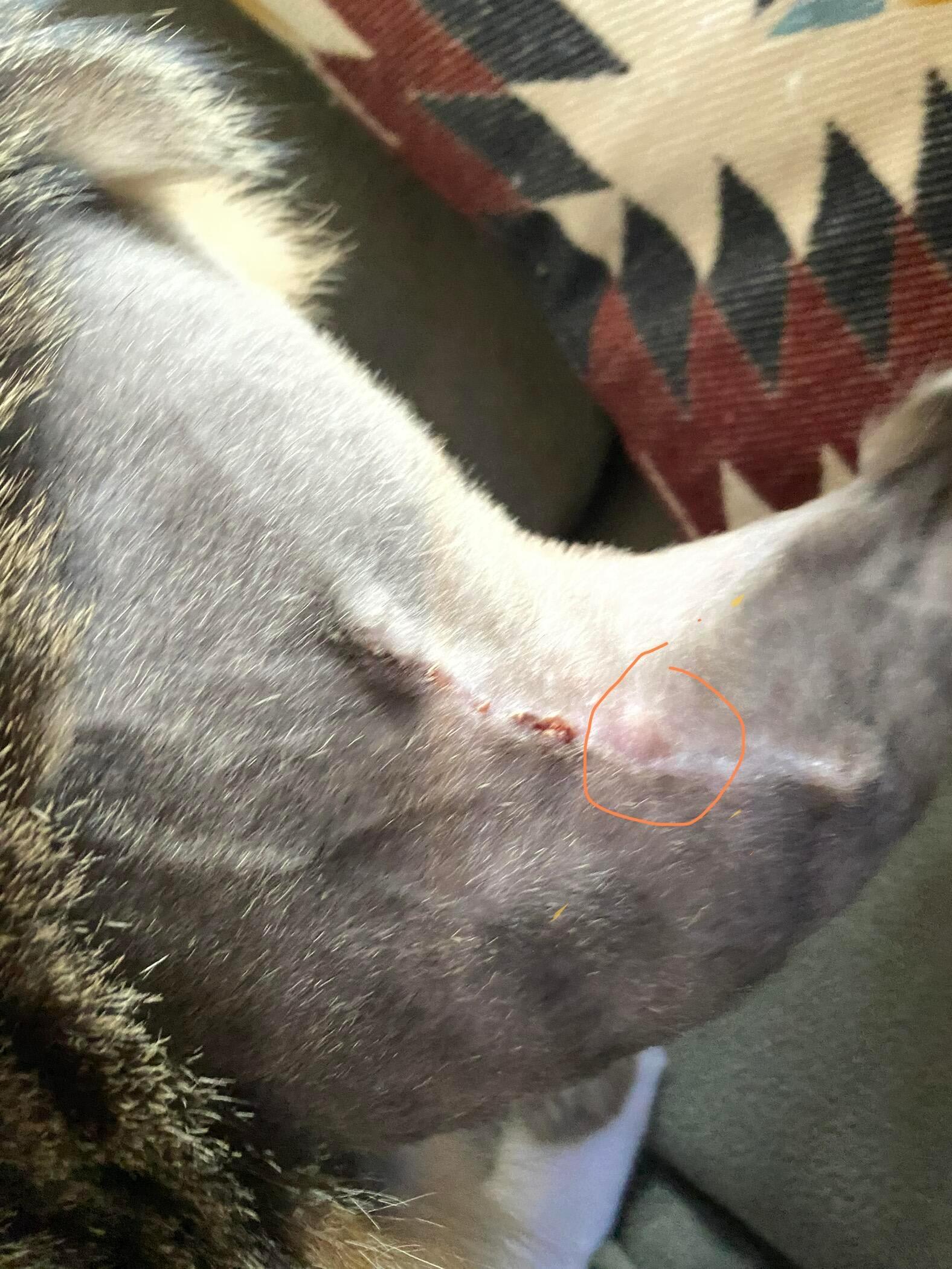 Question details sensitive content