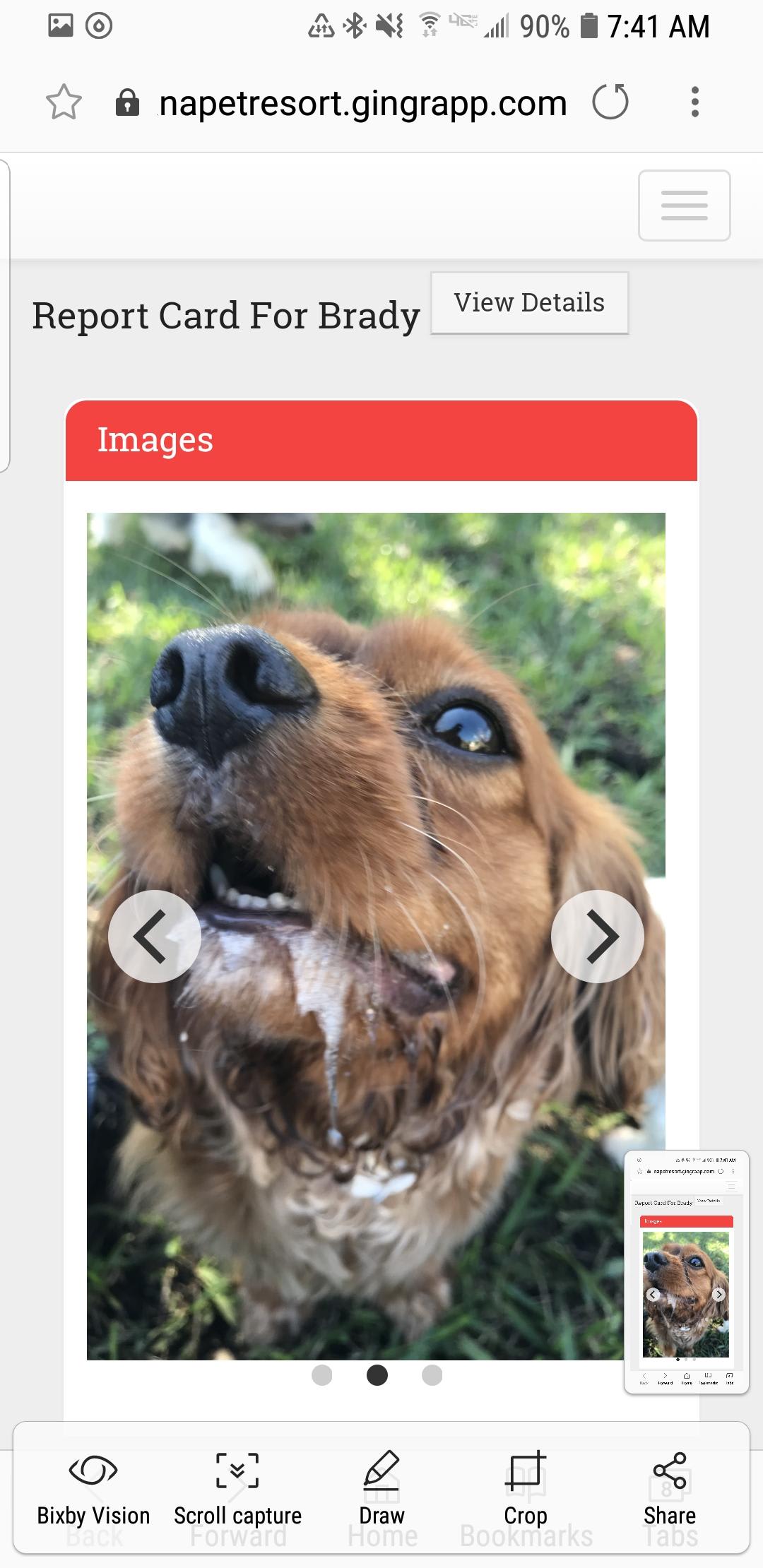 Question details sensitive content