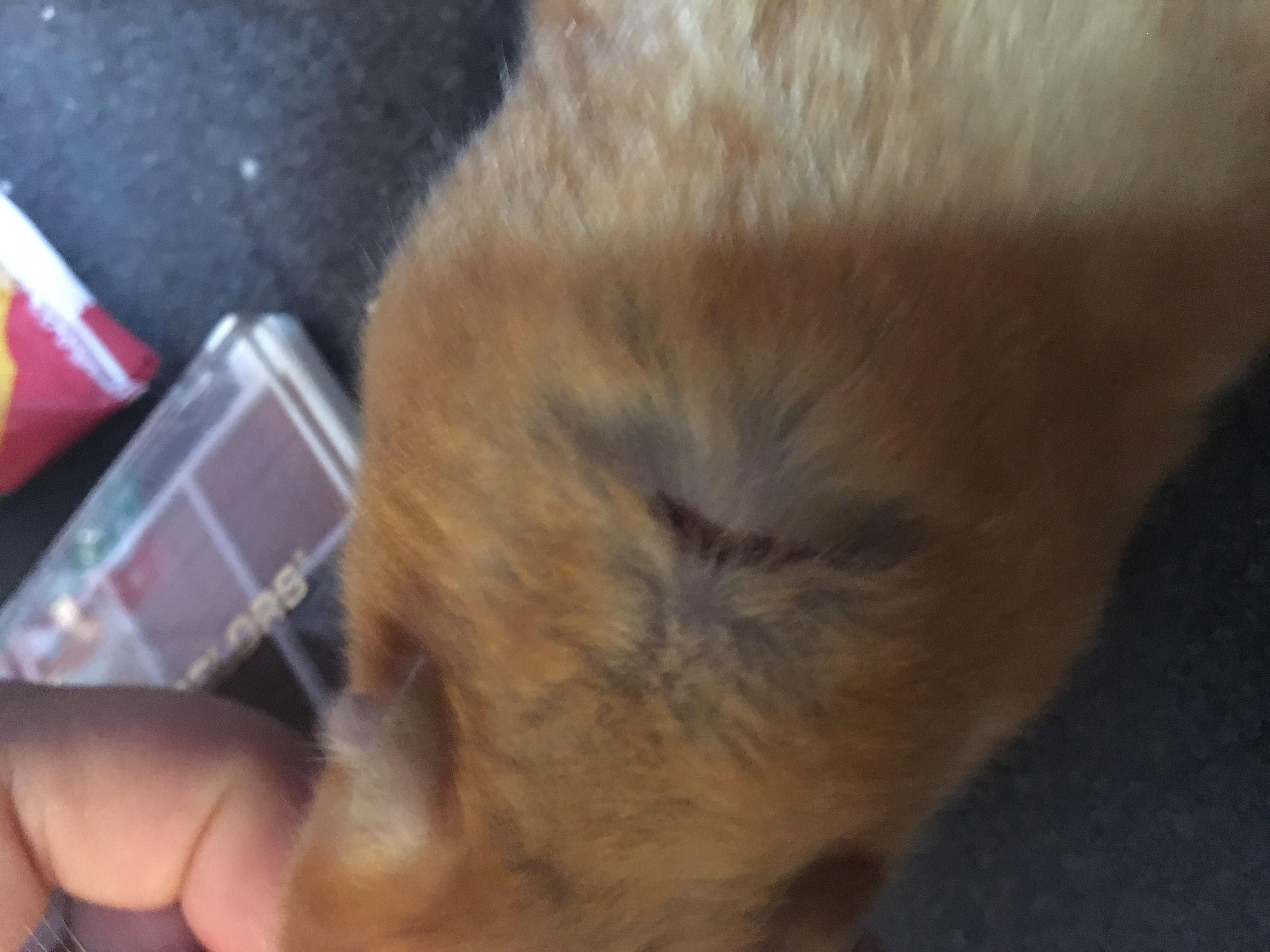 Question details sensitive content