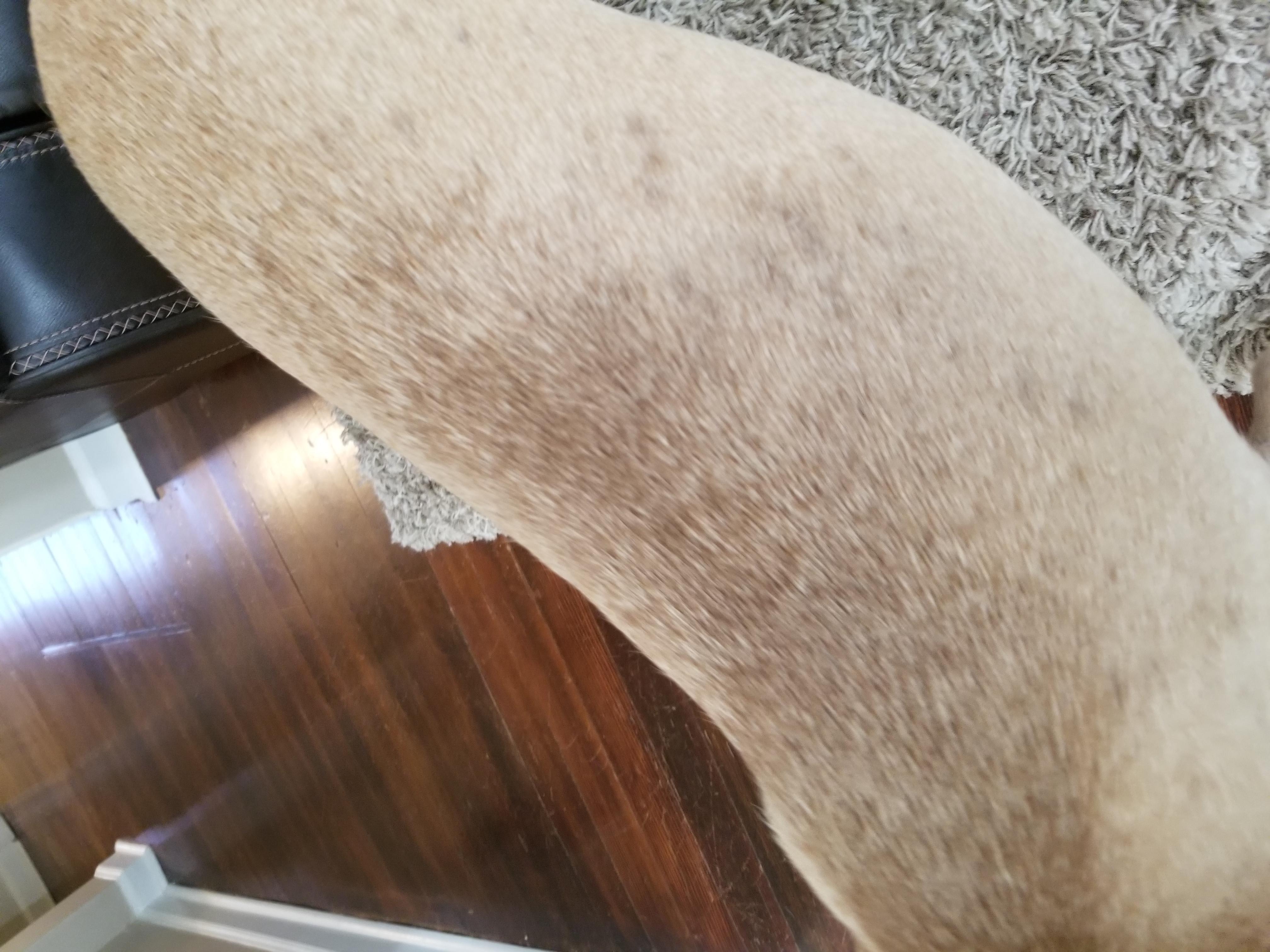 Question details sensitive content