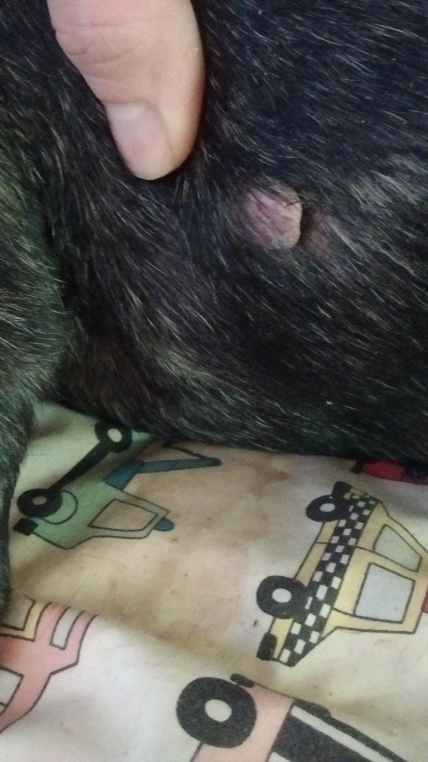 Question details sensitive content