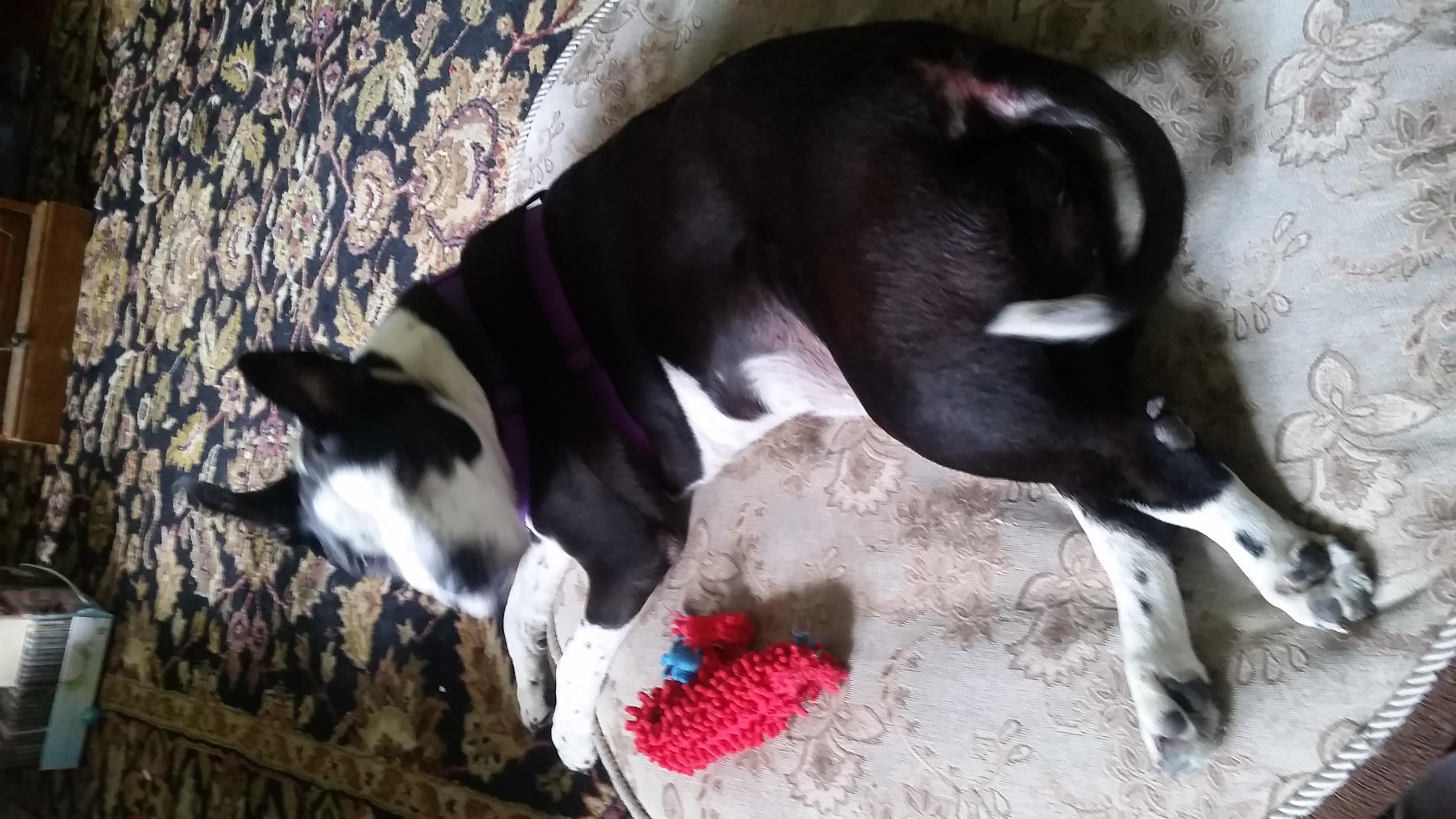 Question details sensitive content