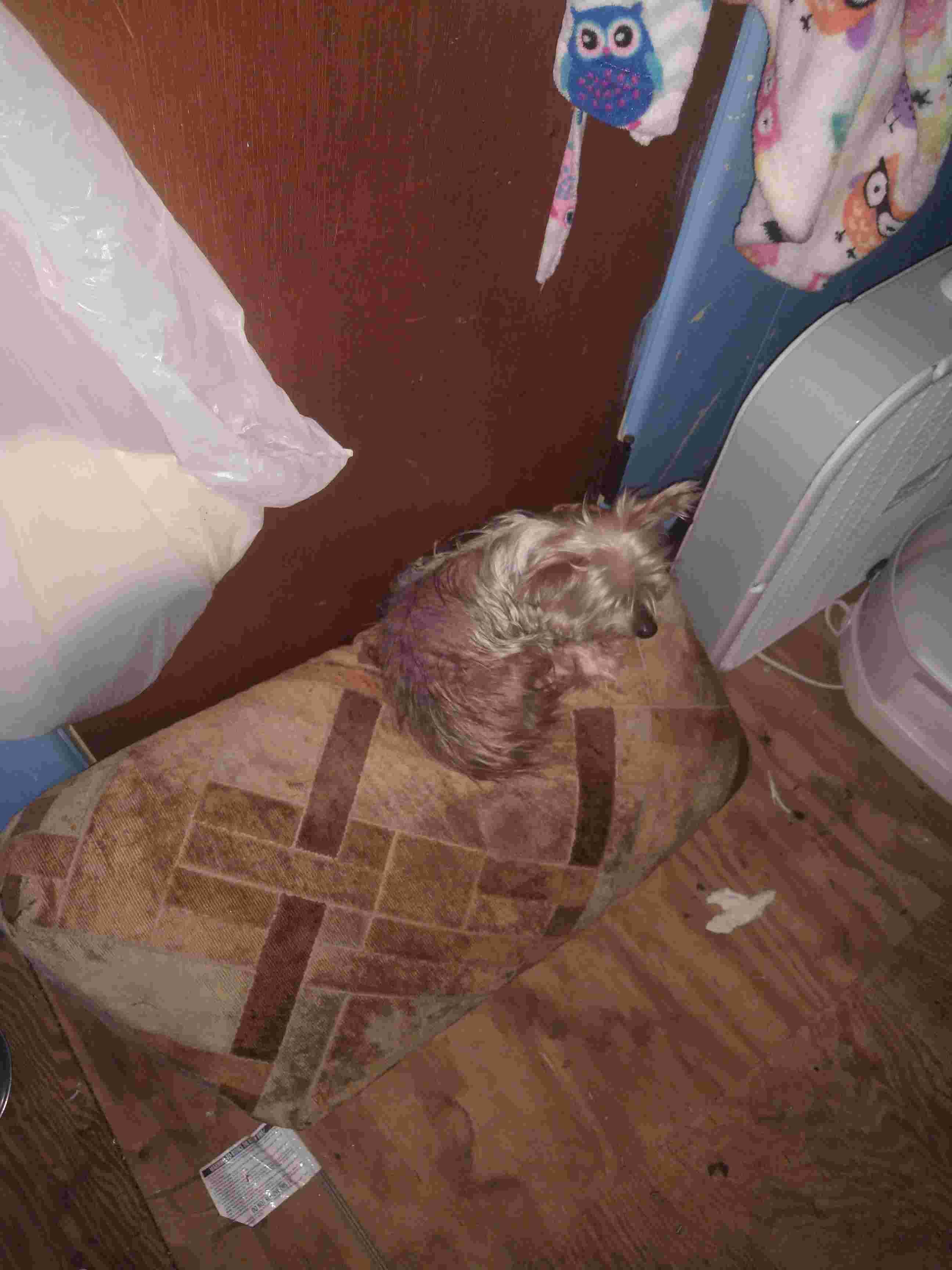 Question details sensitive content