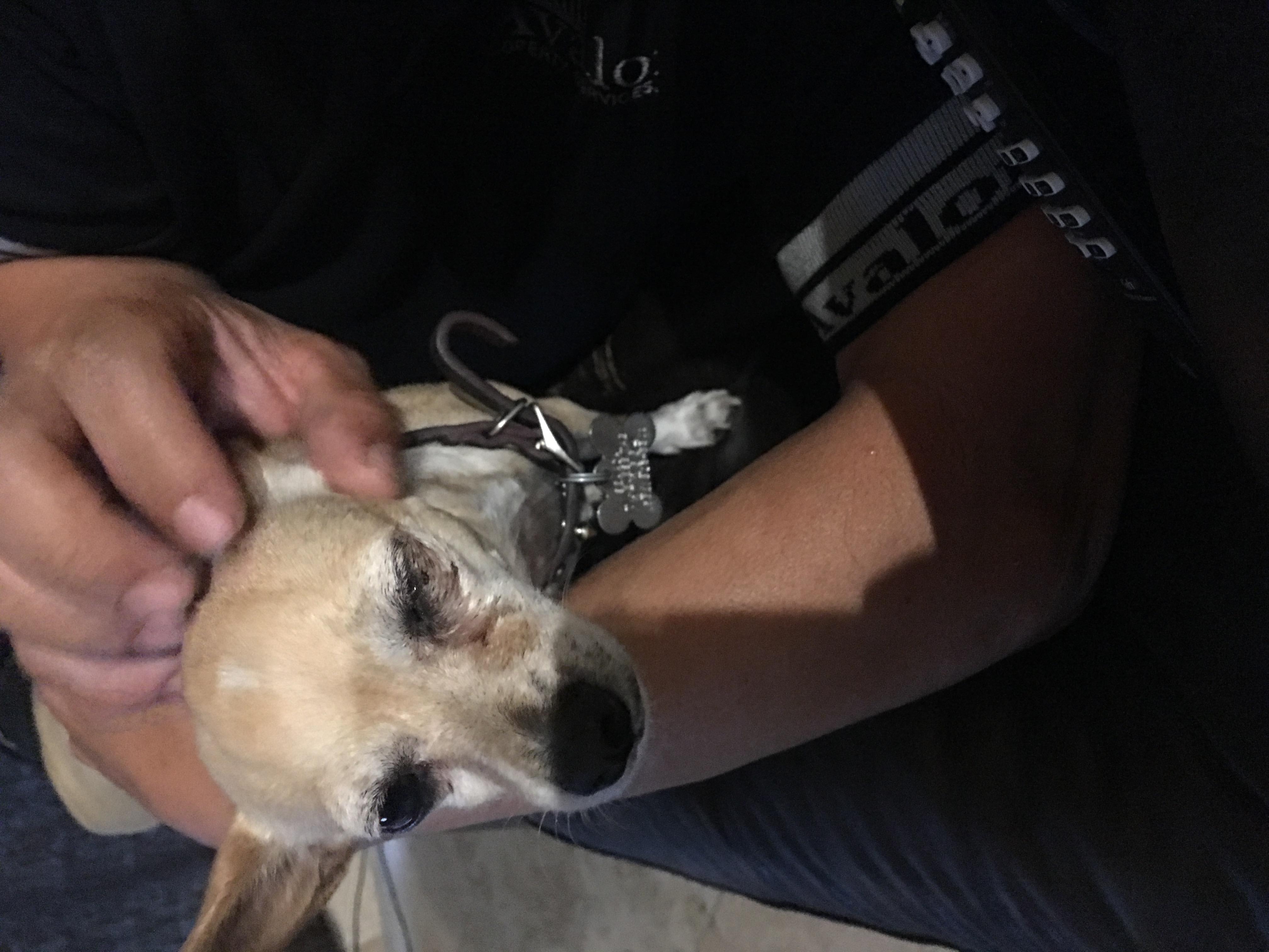 Question details sensitive content