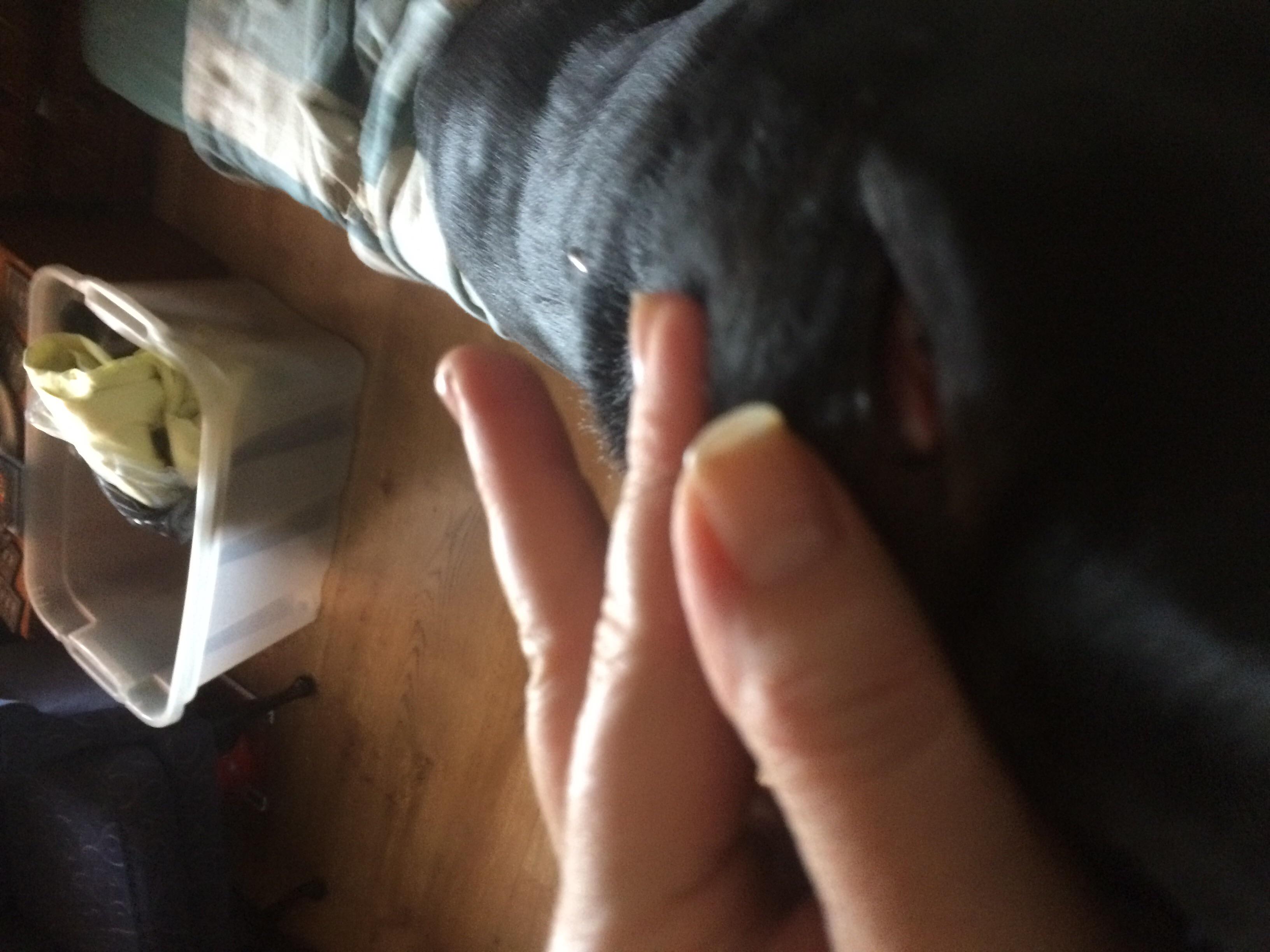 Question details sensitive content