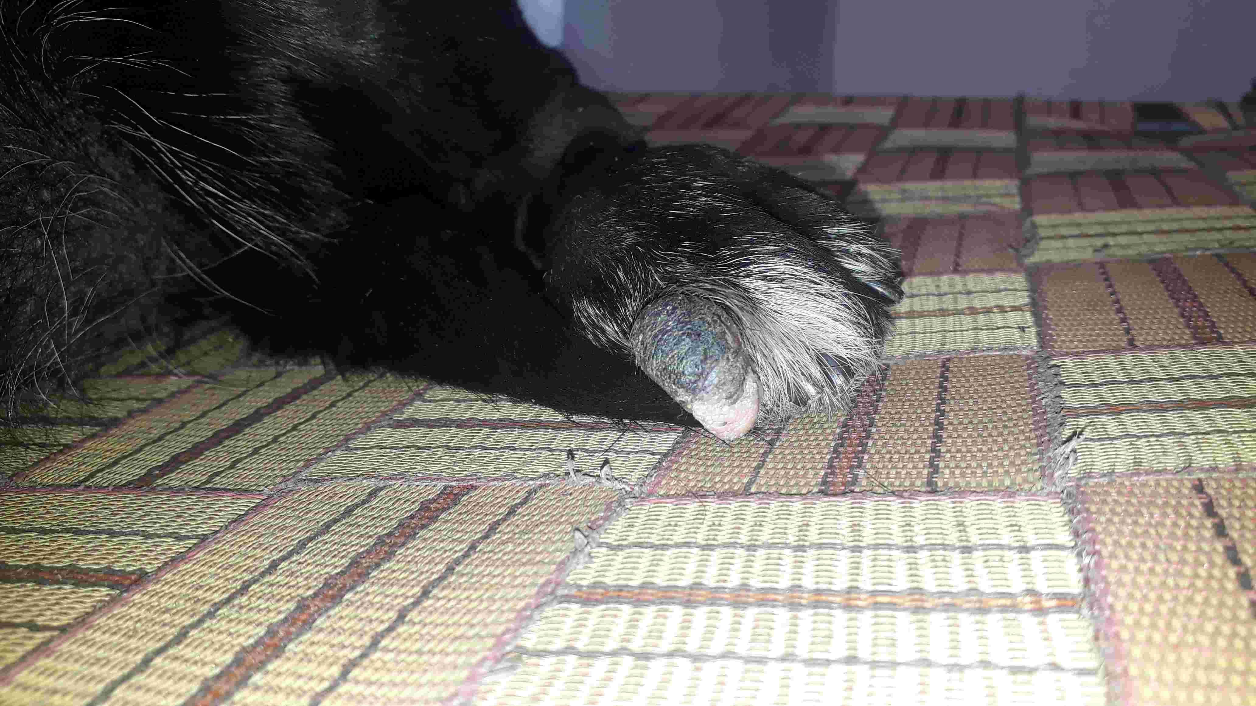 Question details sensitive content