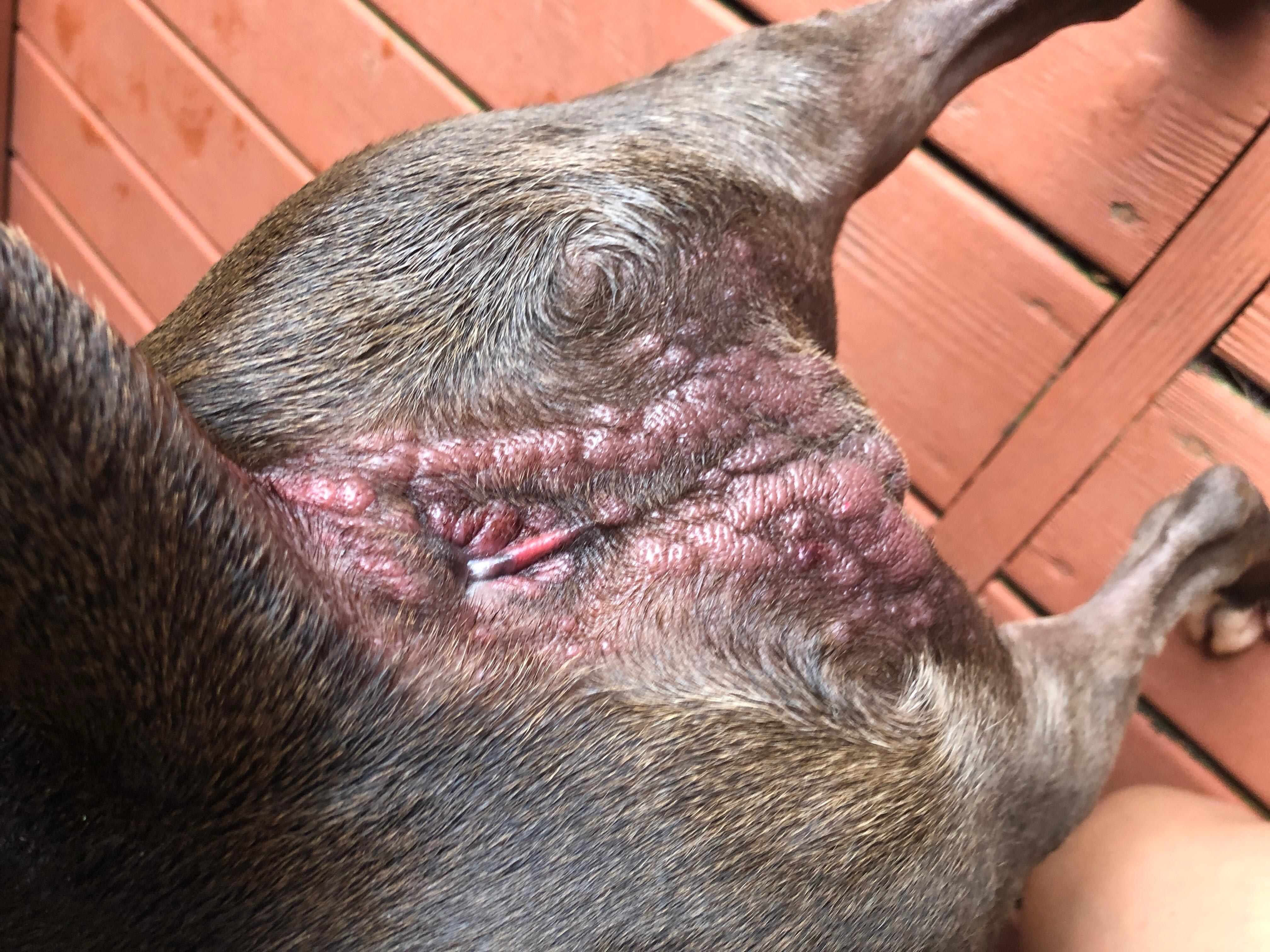 Question details sensitive content