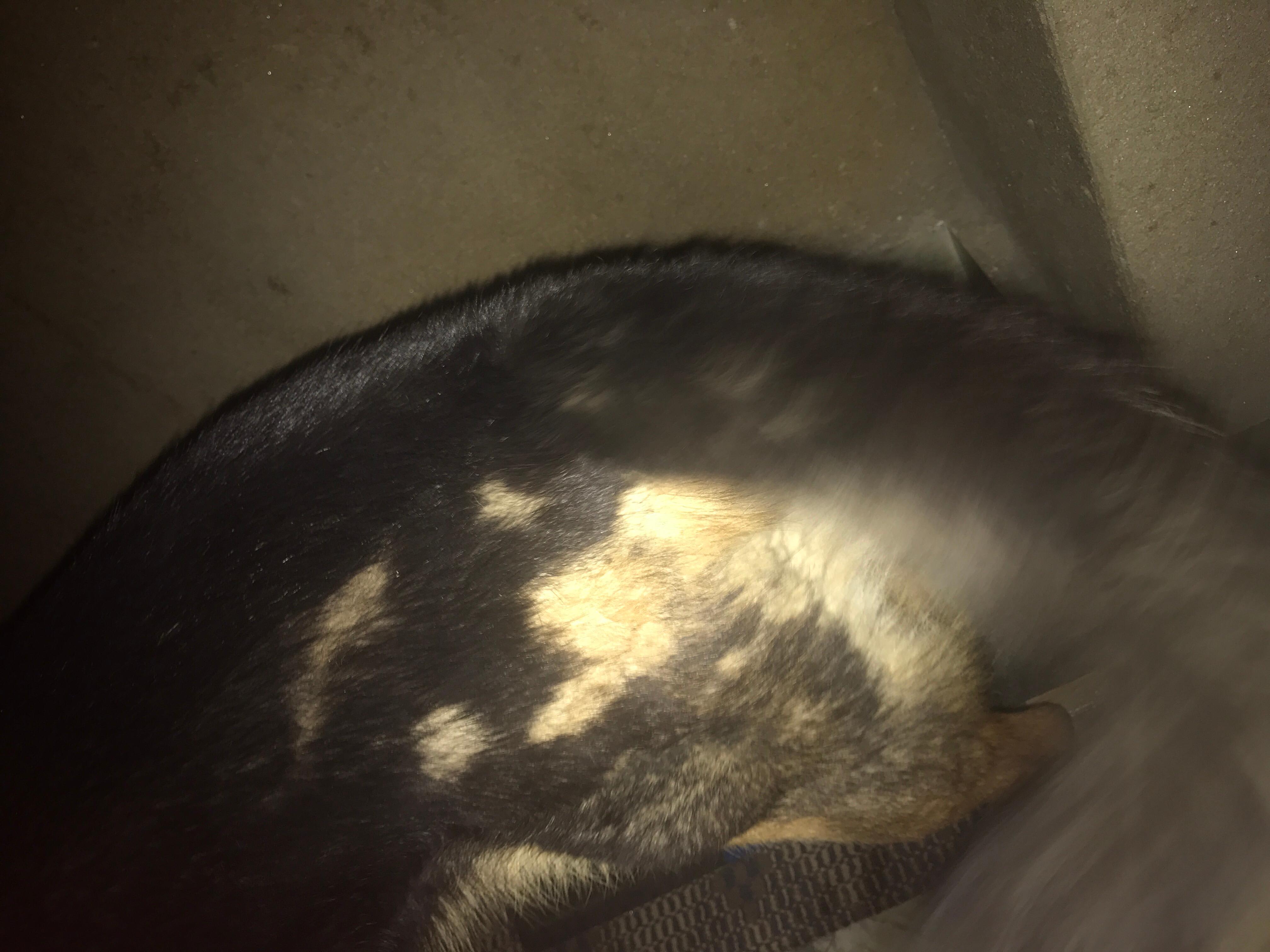 Question details sensitive content