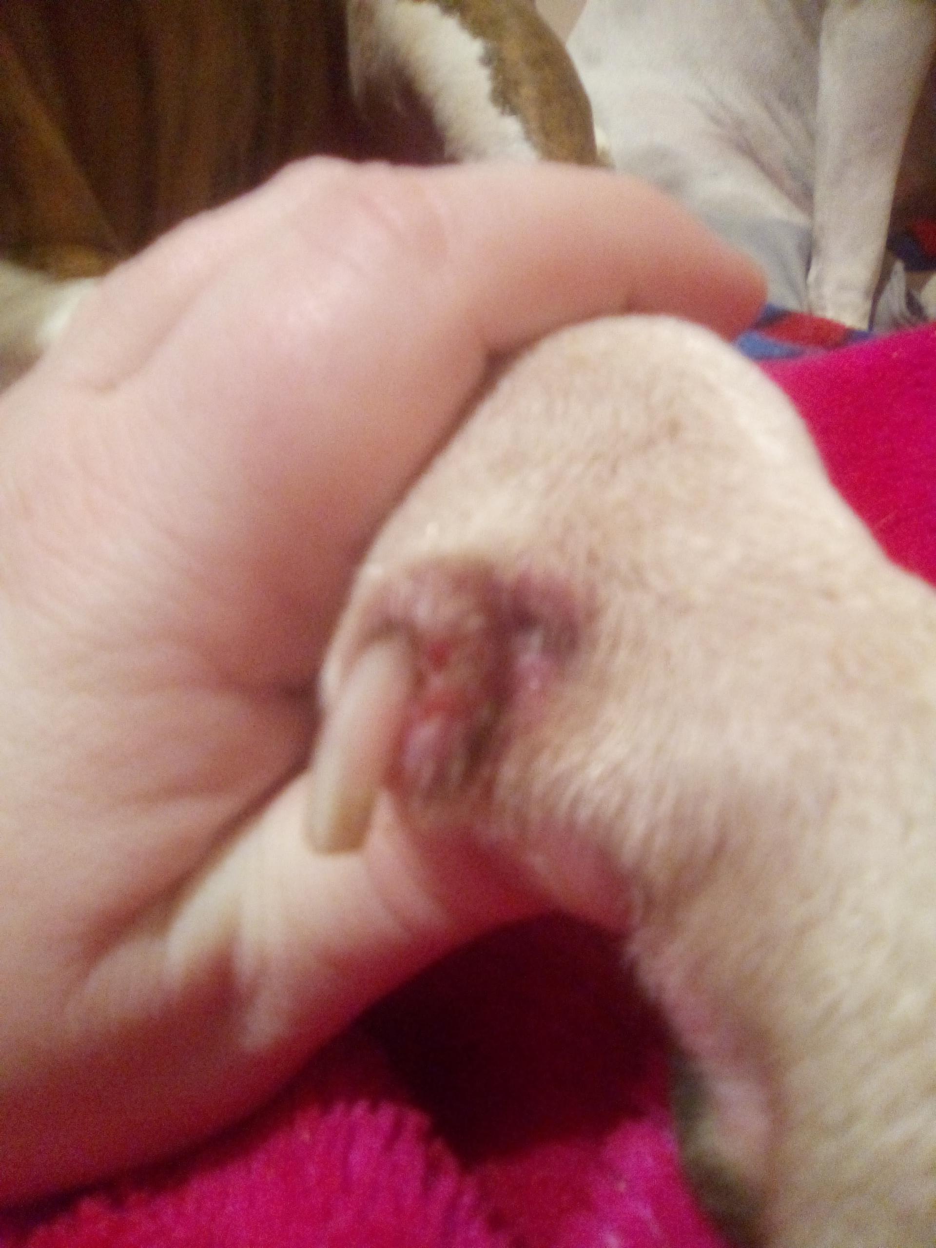 Question details sensitive content