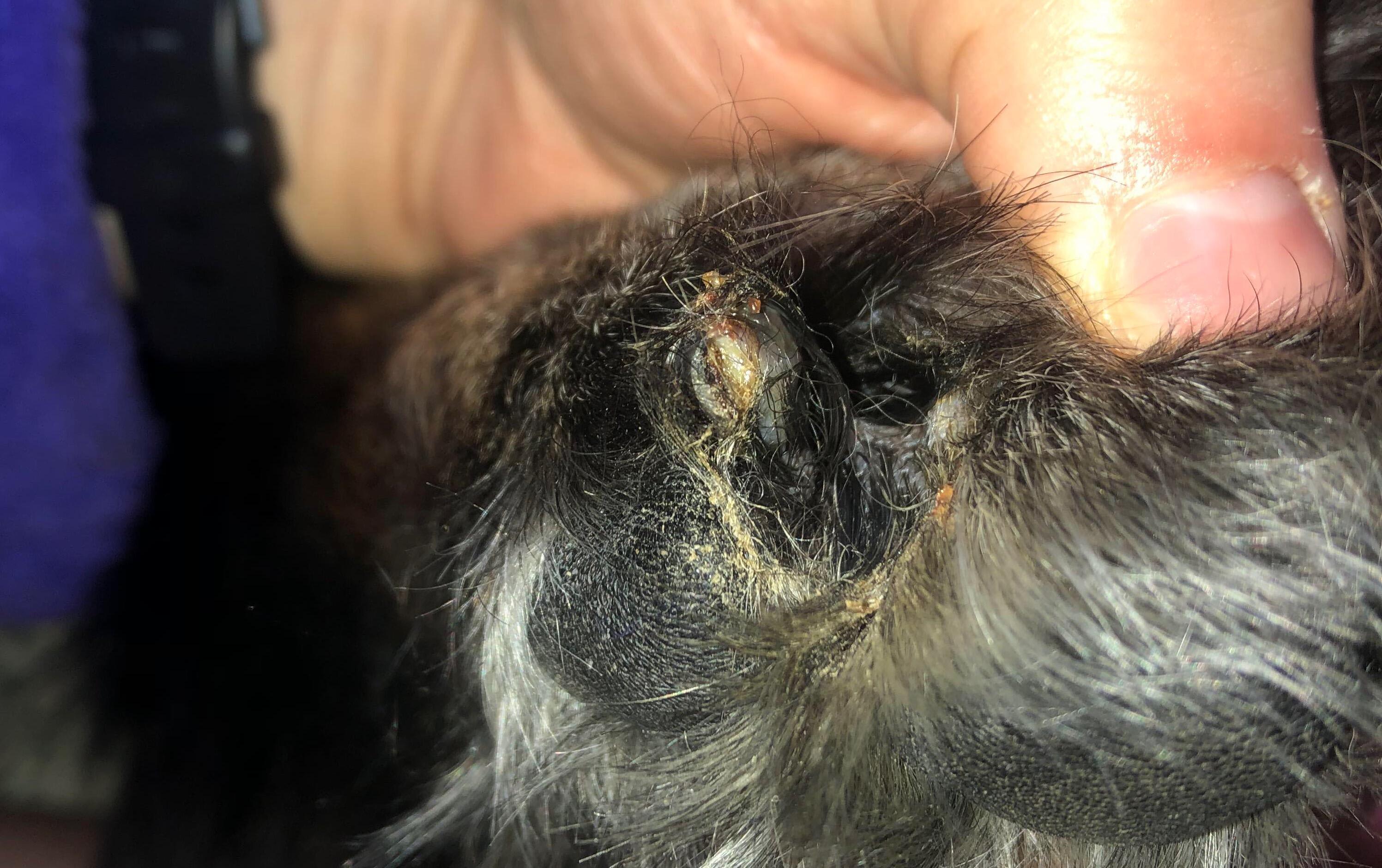 Question details sensitive content