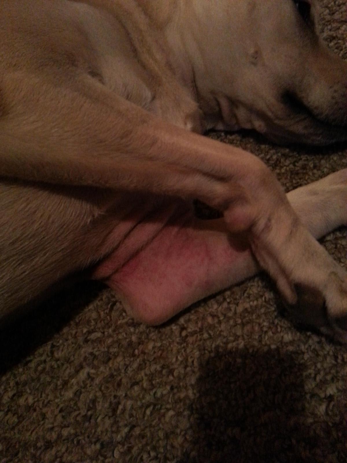 Question details sensitive content