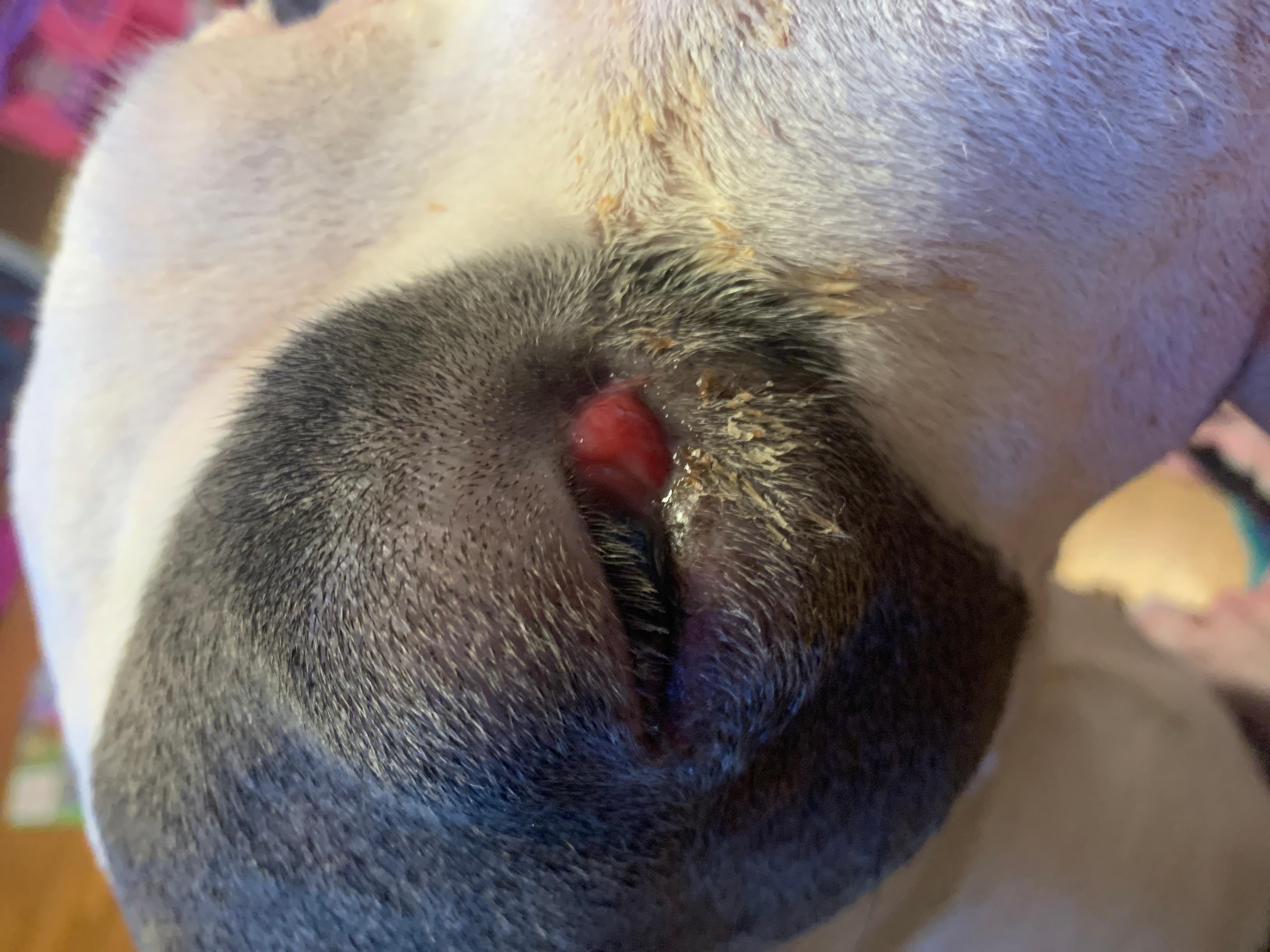 Question details sensitive content