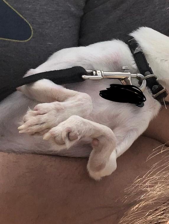 Question details sensitive content