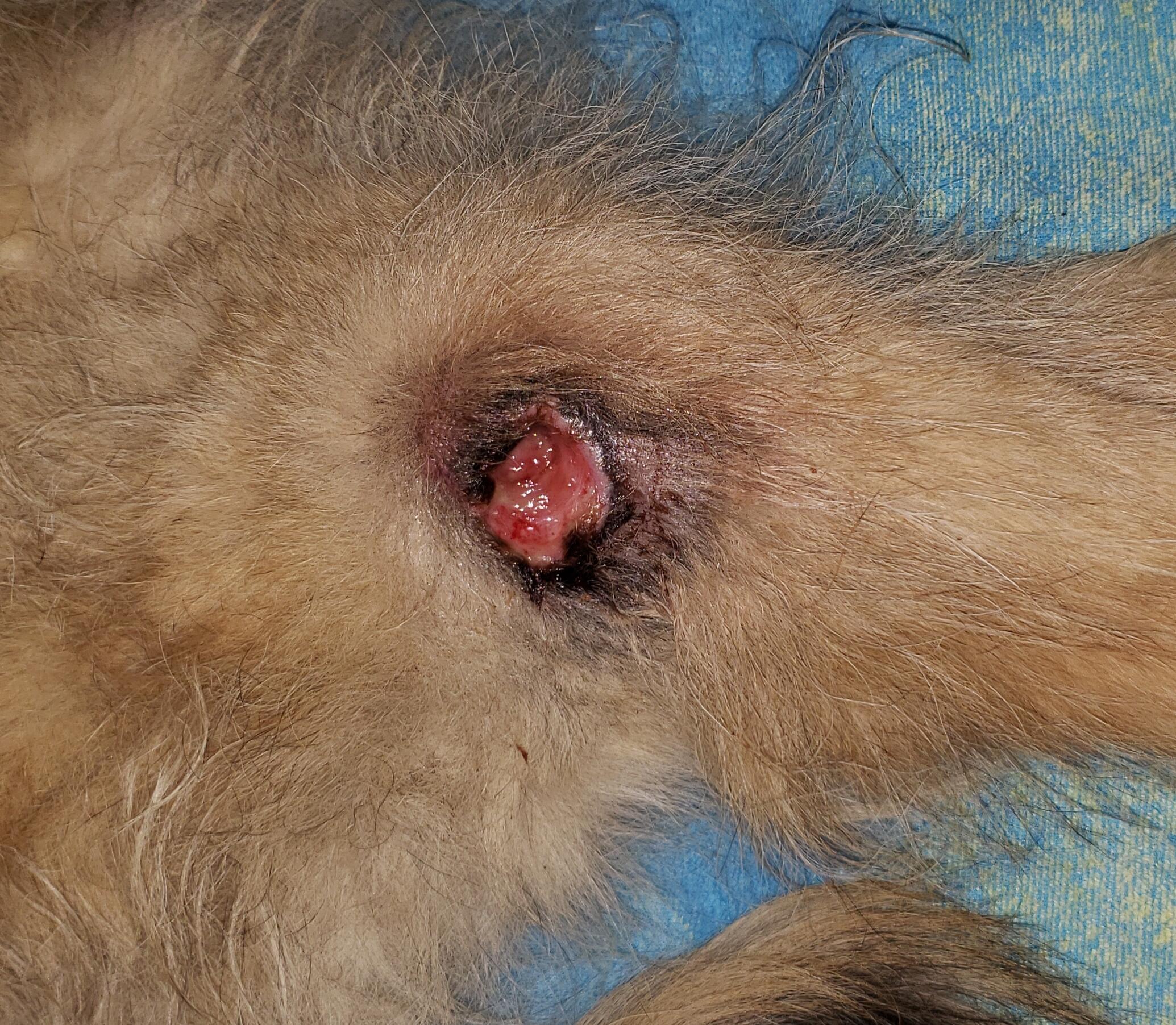 Question details sensitive content