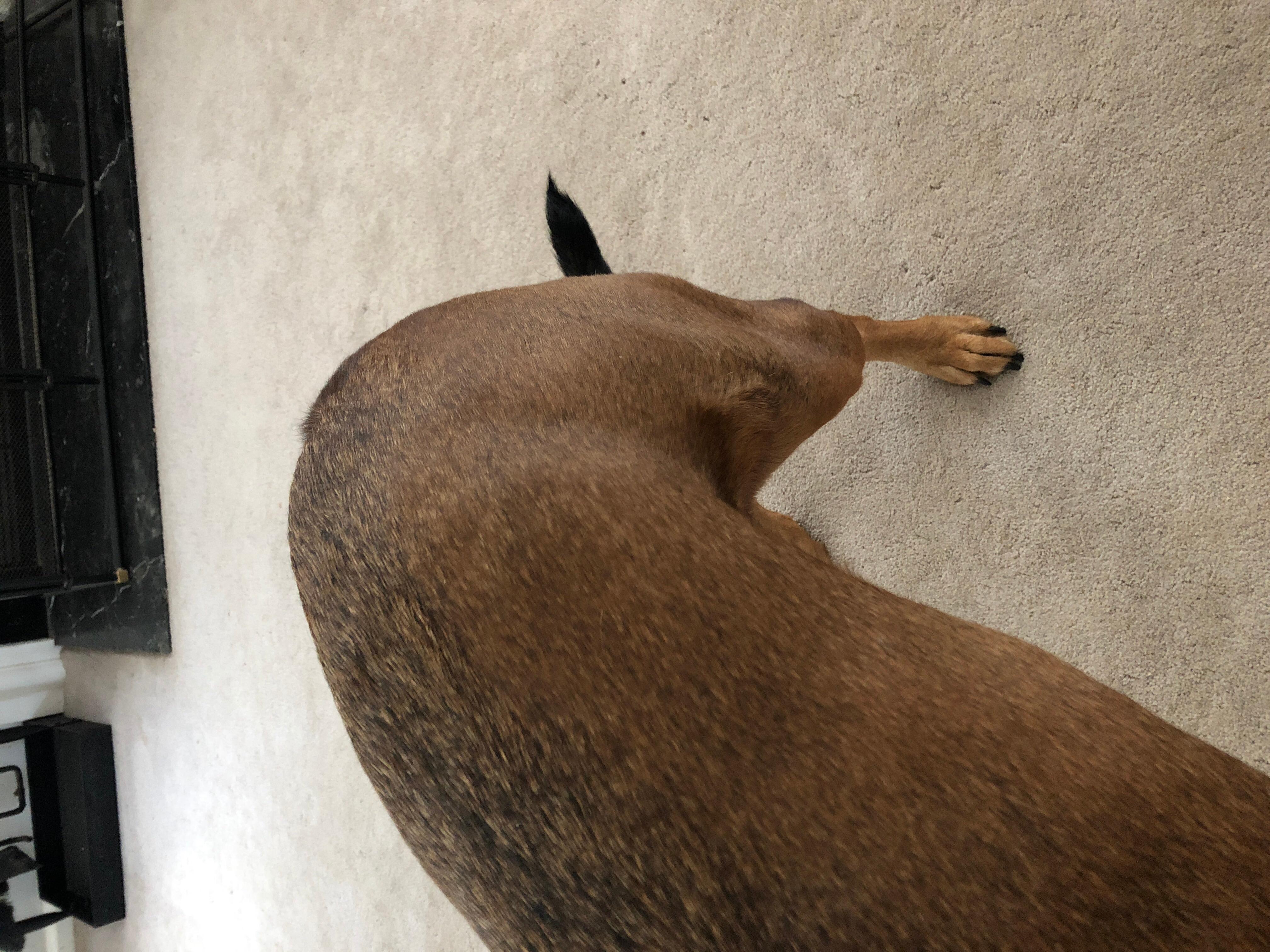 Question details sensitive content