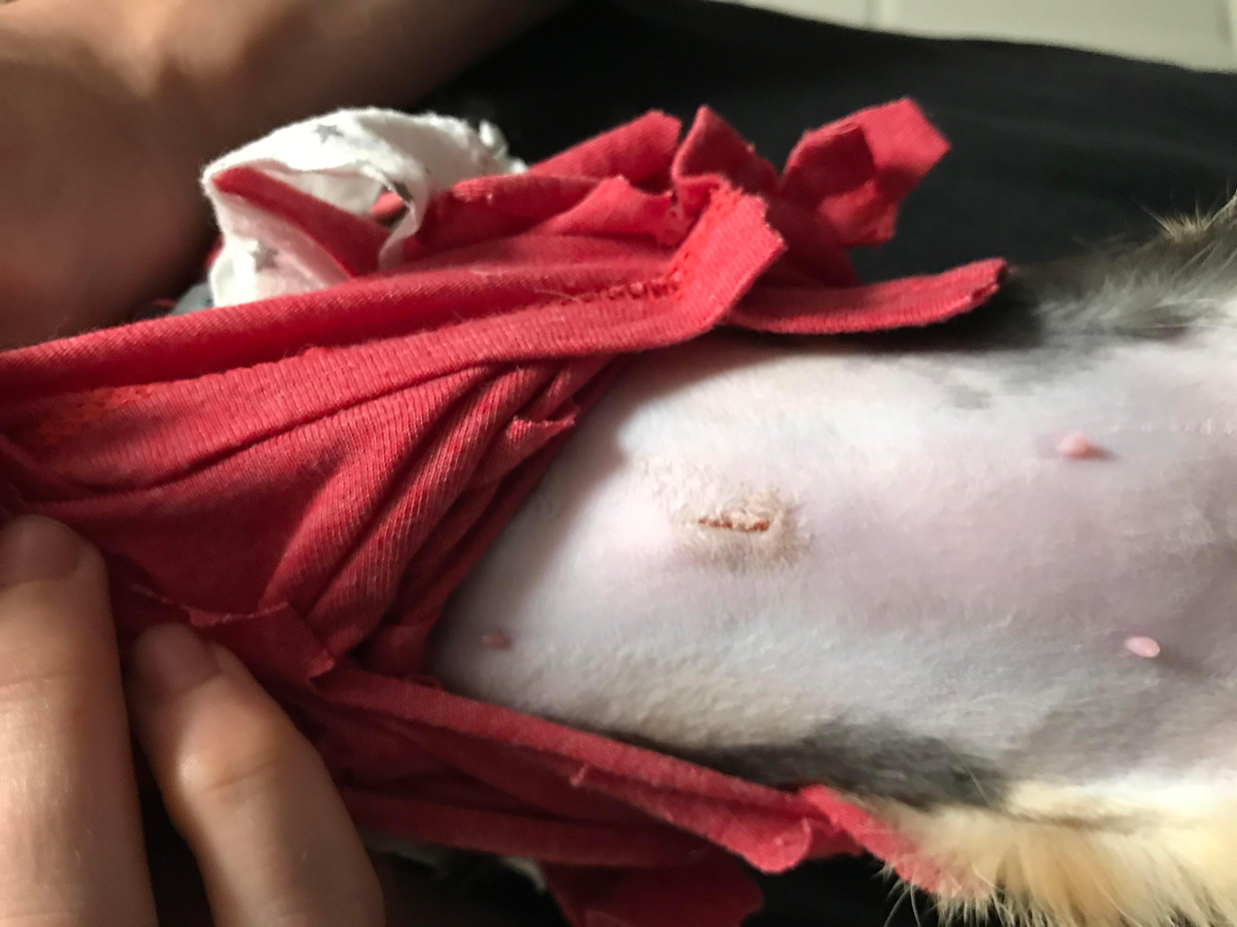 Question details sensitive content