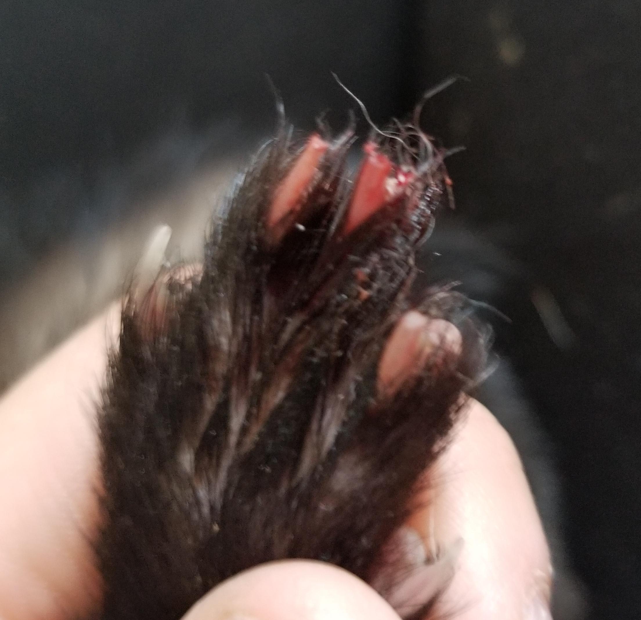 Question details sensitive content