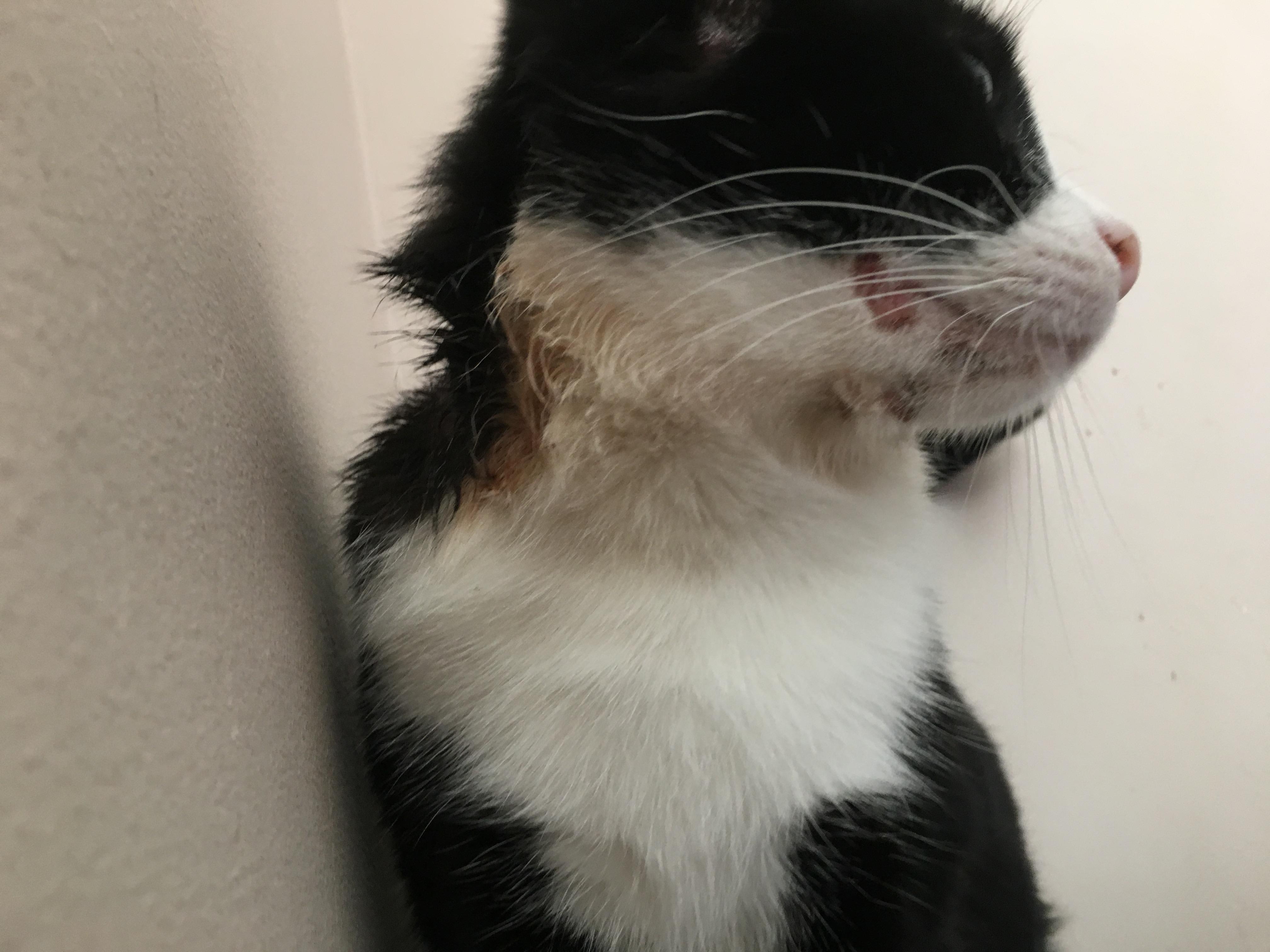 Question details sensitive content