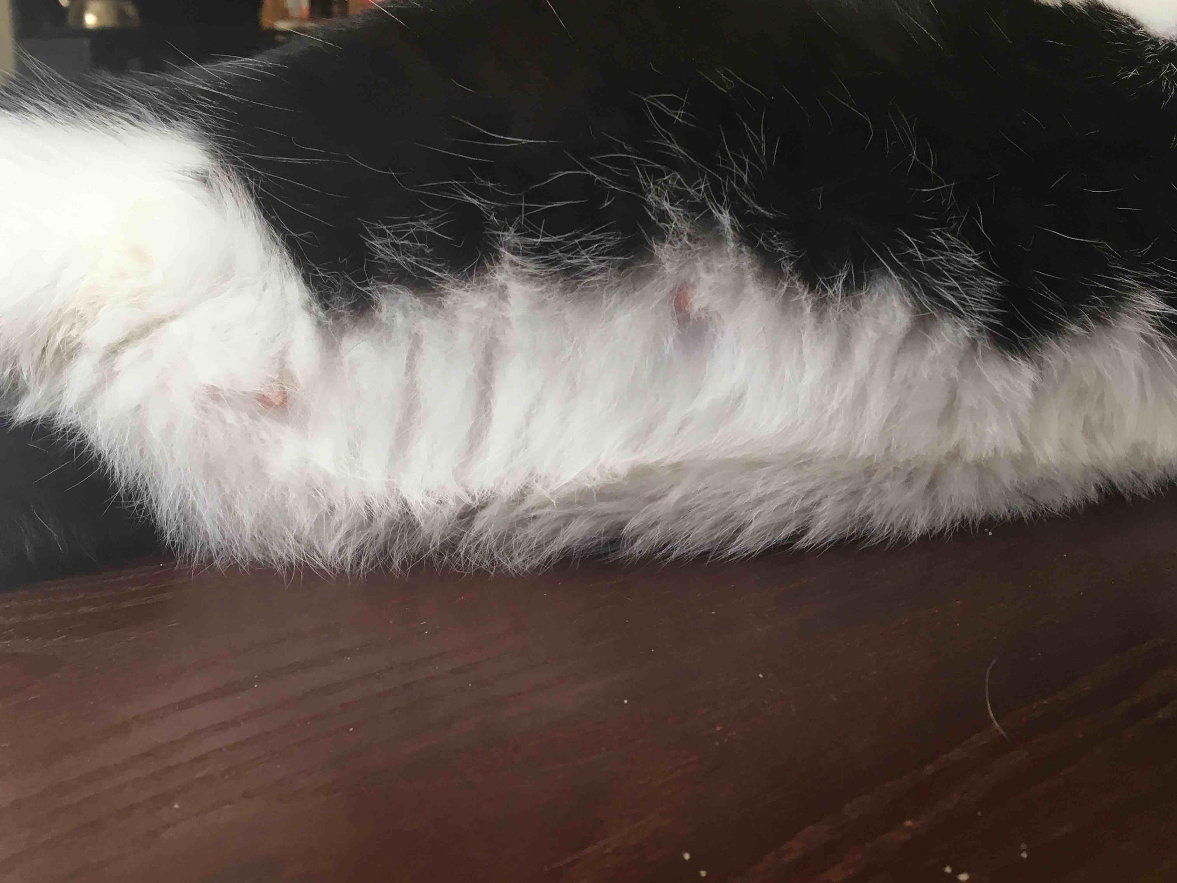 Question details sensitive content