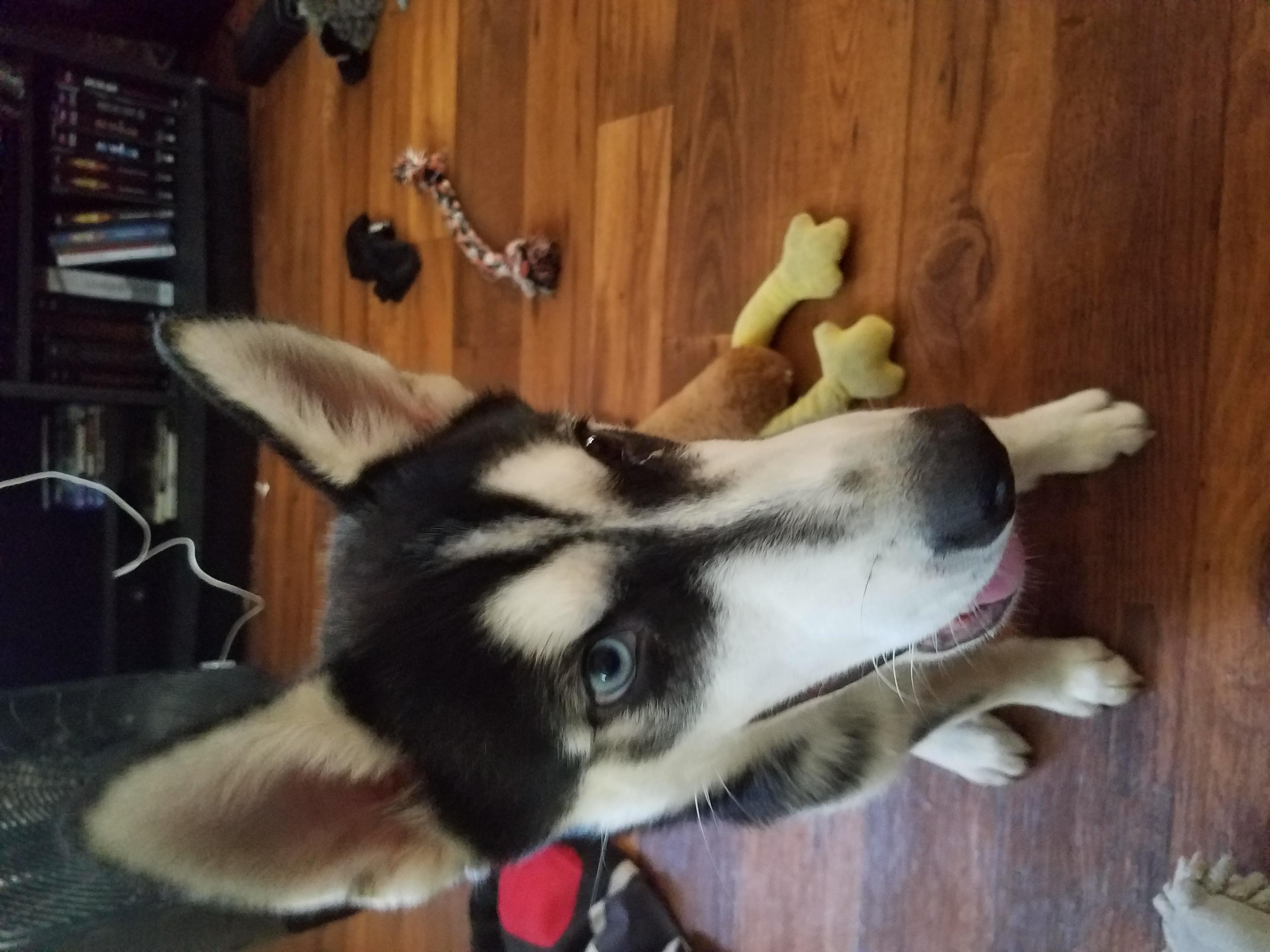 Question details sensitive content