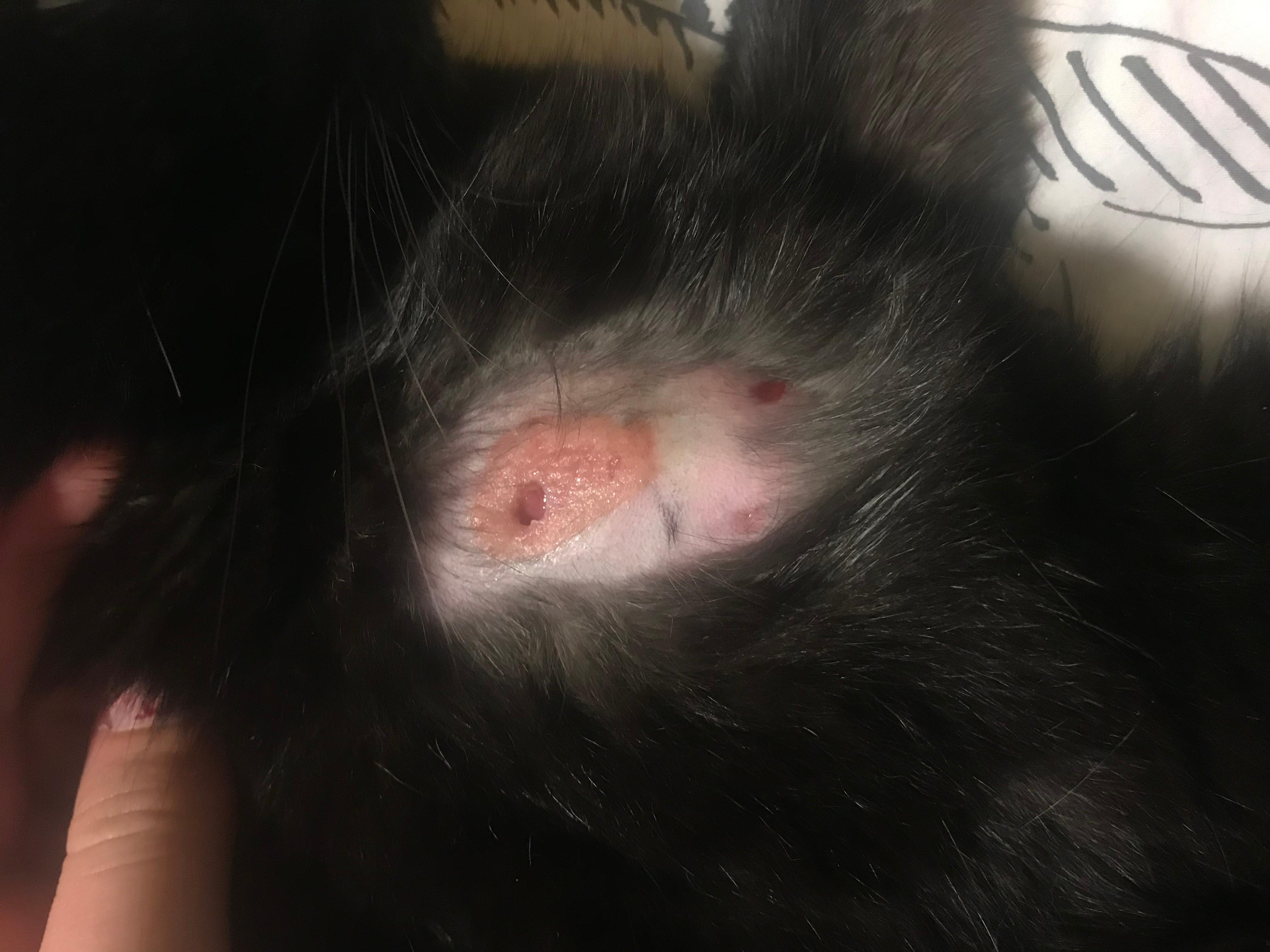 Question details sensitive content