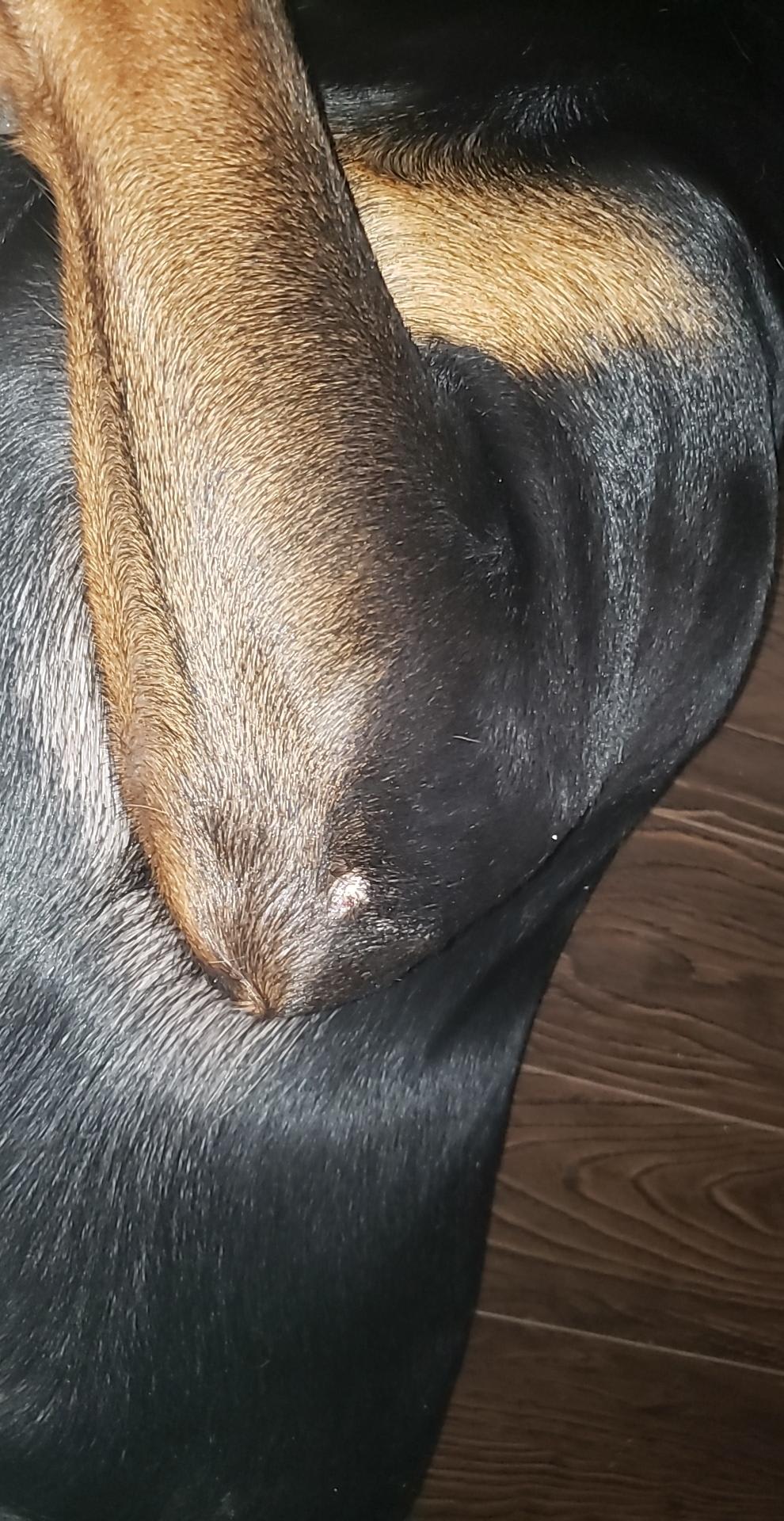 Question details sensitive content