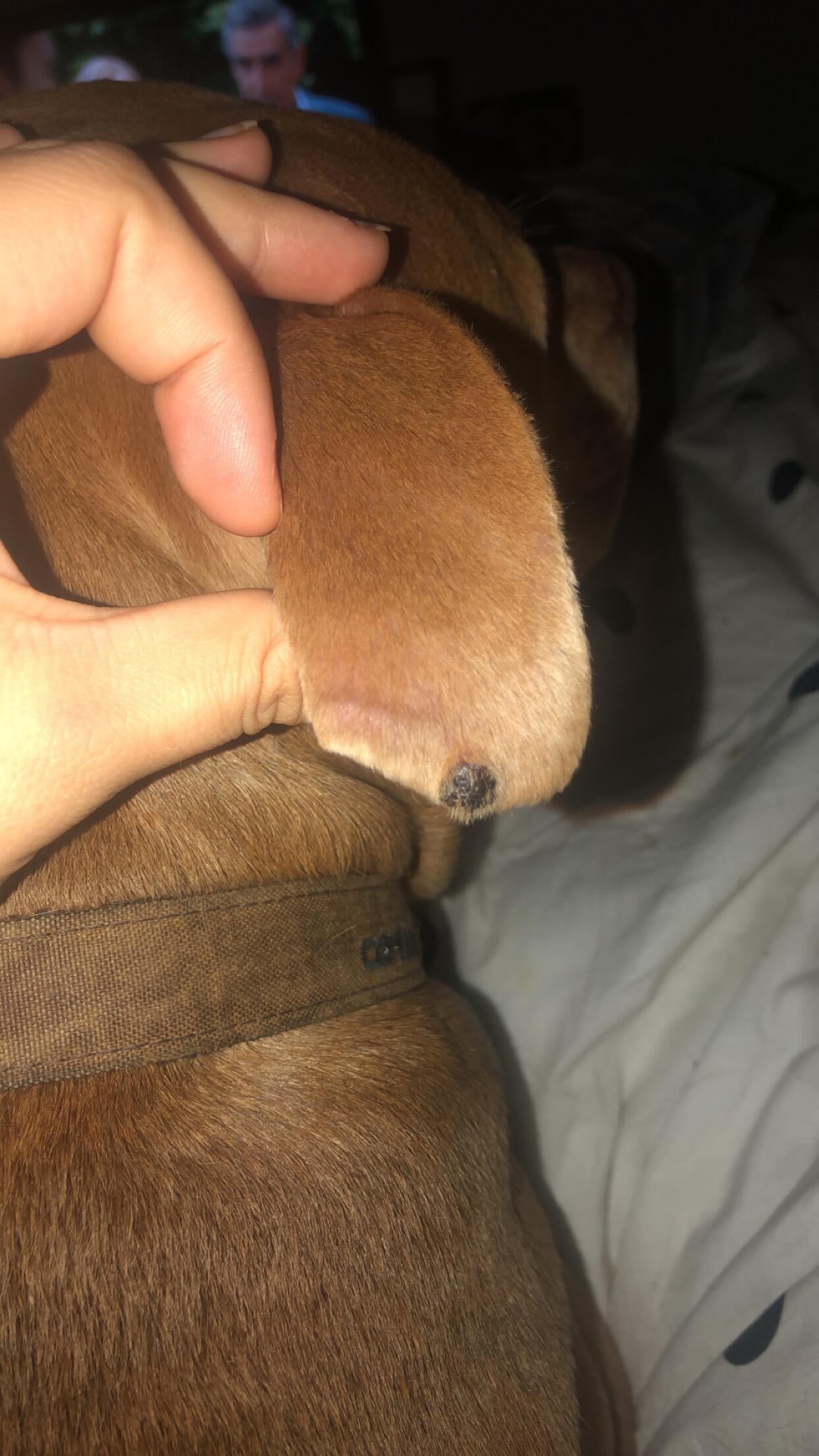 Question details sensitive content