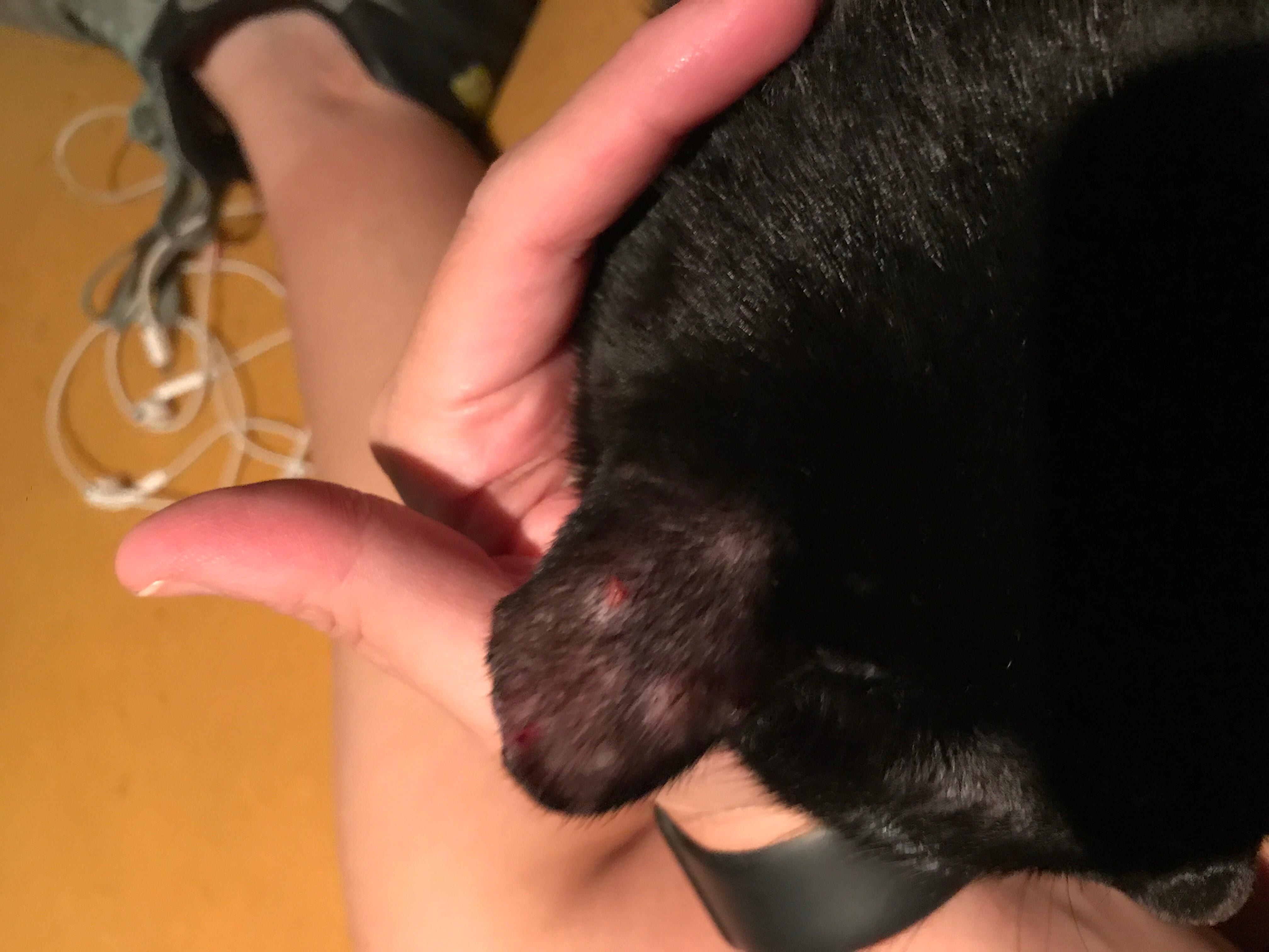 Question details sensitive content