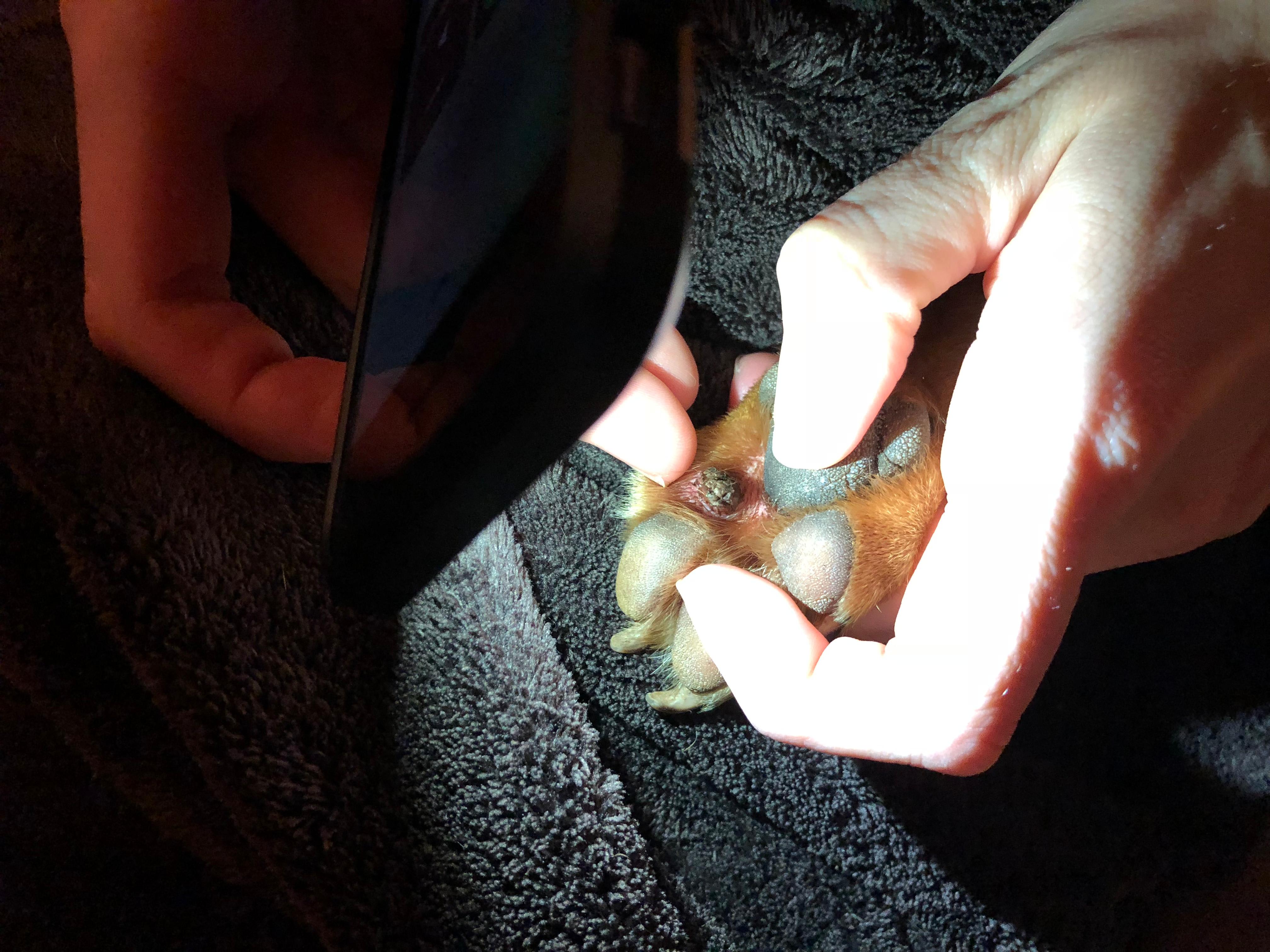 Question details sensitive content